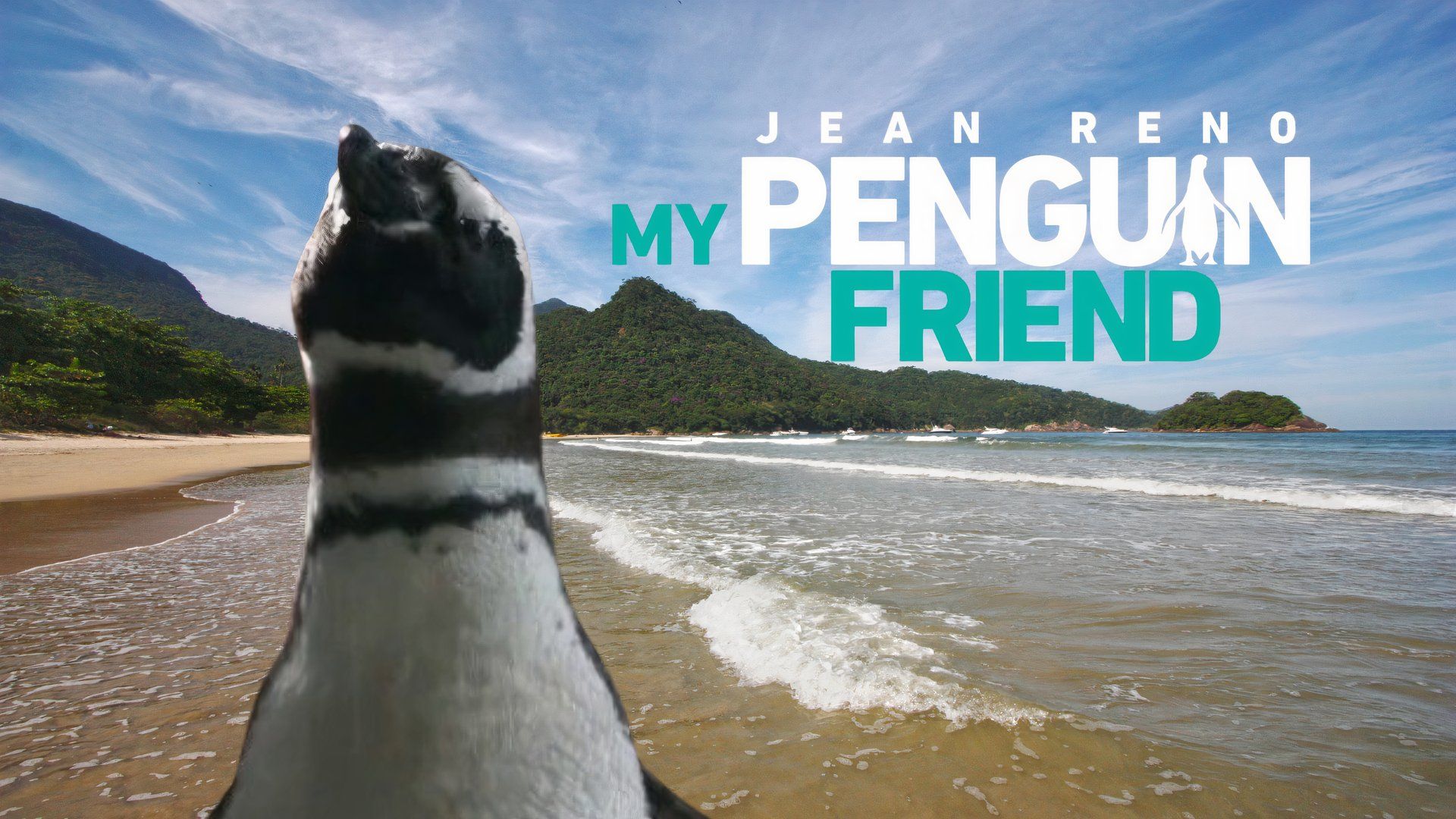 My Penguin Friend Review: A Heartwarming True Story Gets a Sweet Adaptation