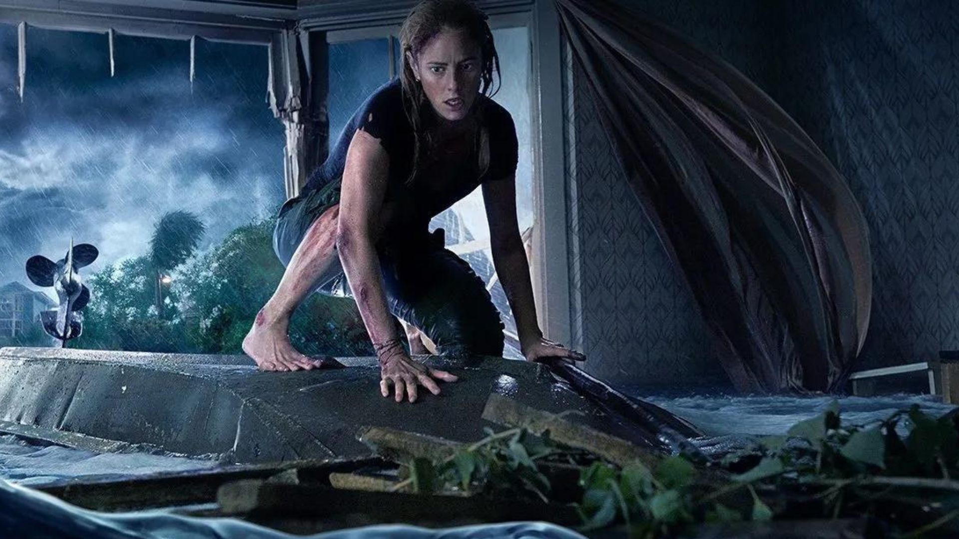 Crawl 2 Director Teases 'Something Different' in the Gator Movie Sequel