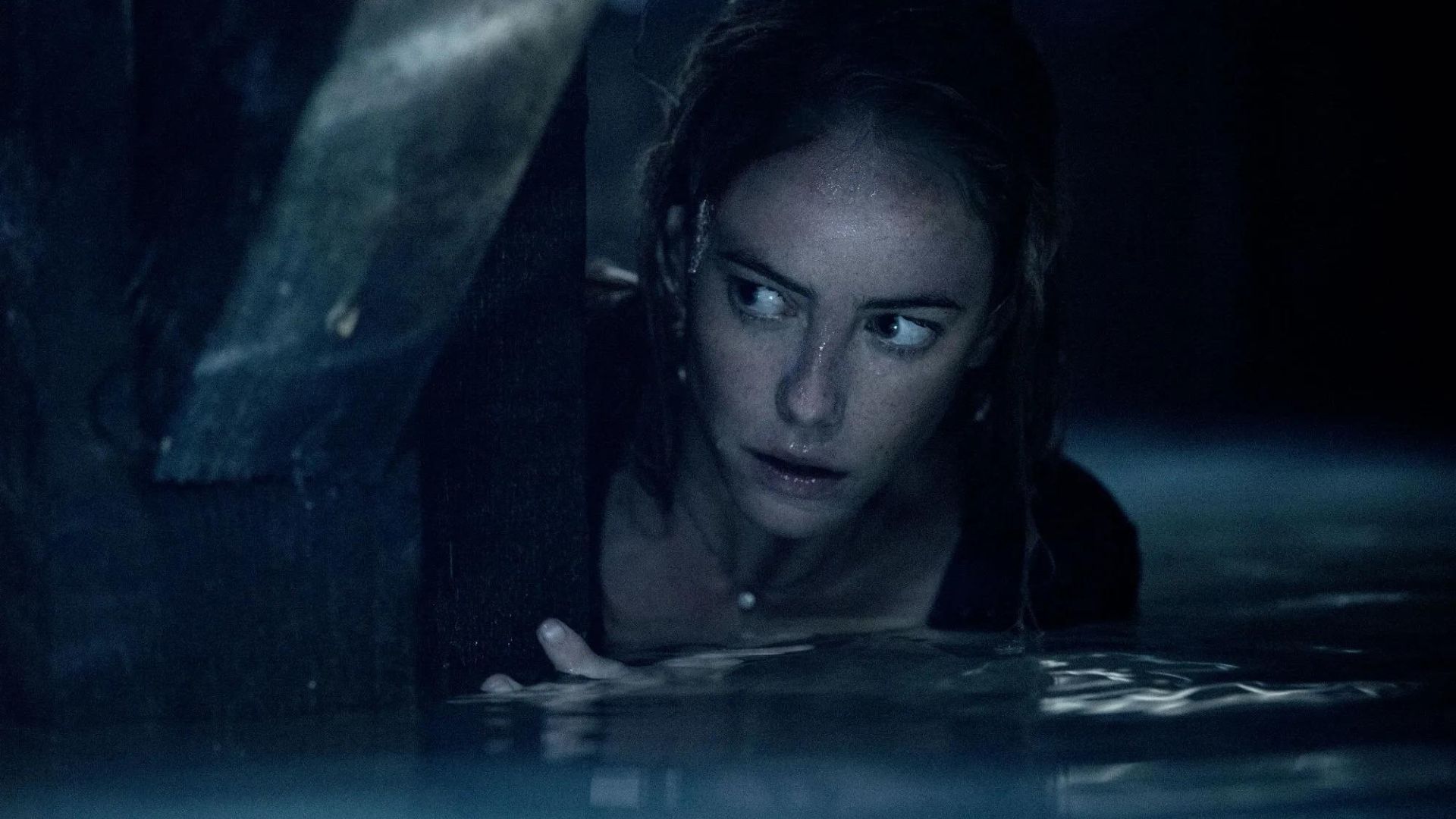 Crawl 2 Announced with Alexandre Aja Directing, Will Head to New York