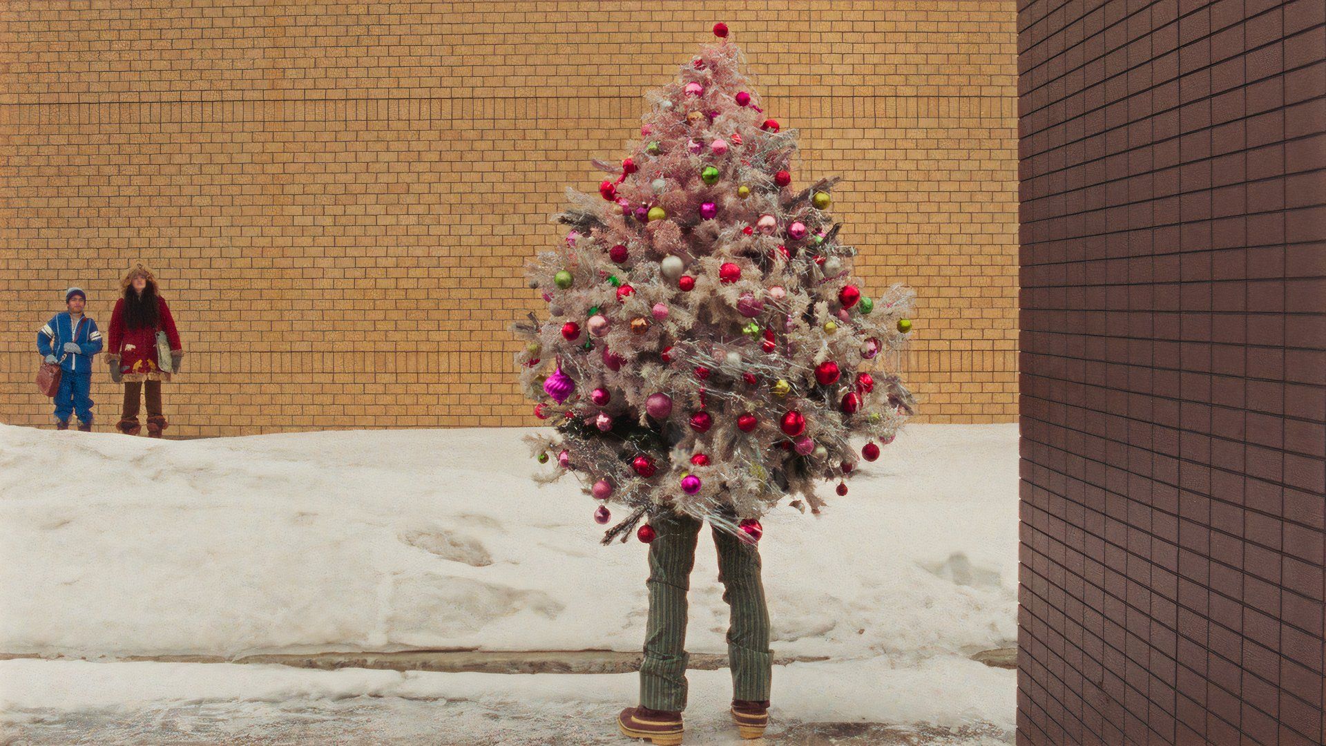 Man wearing a Christmas tree in the movie Universal Language from Matthew Rankin