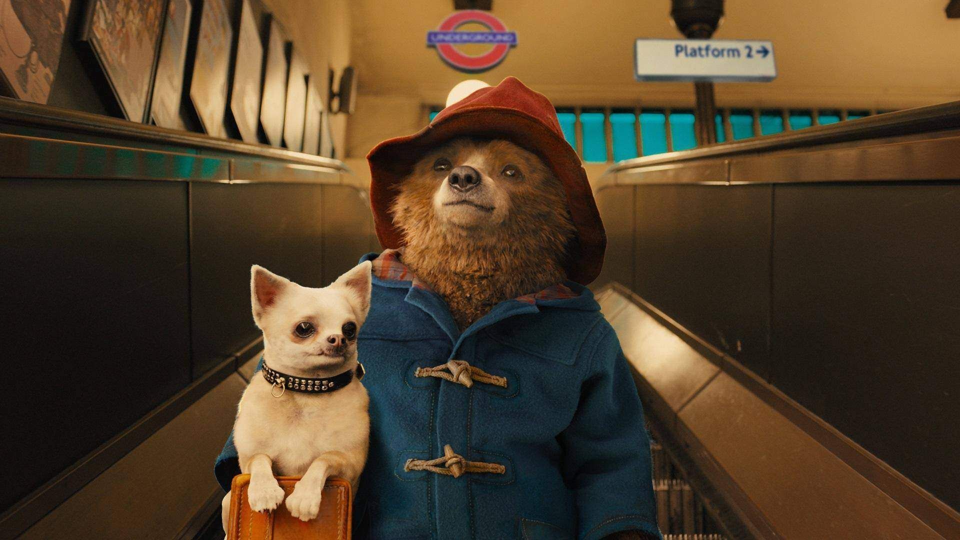 Paddington 4 & a TV Series Spinoff Are Officially On The Way