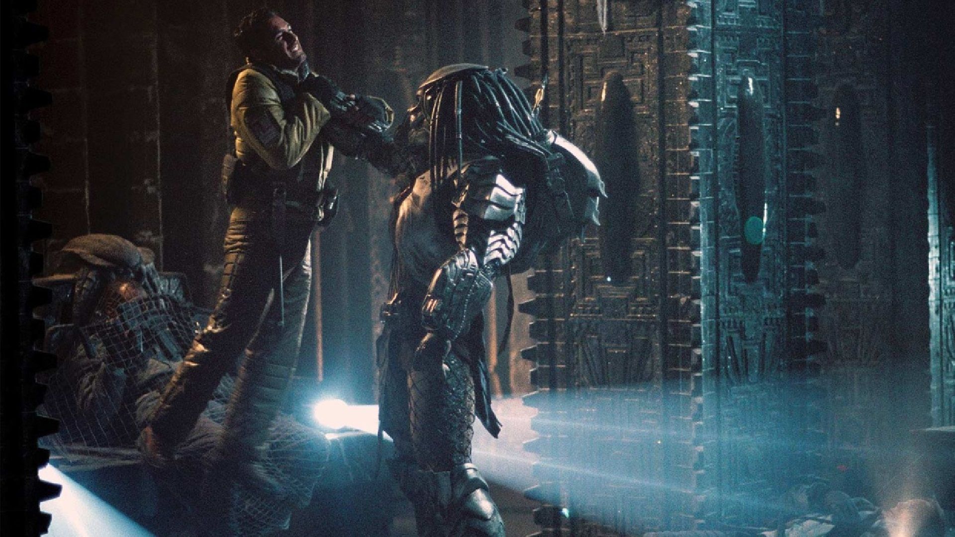 Alien vs Predator Movie Will 'Probably' Happen After Romulus and Prey Success