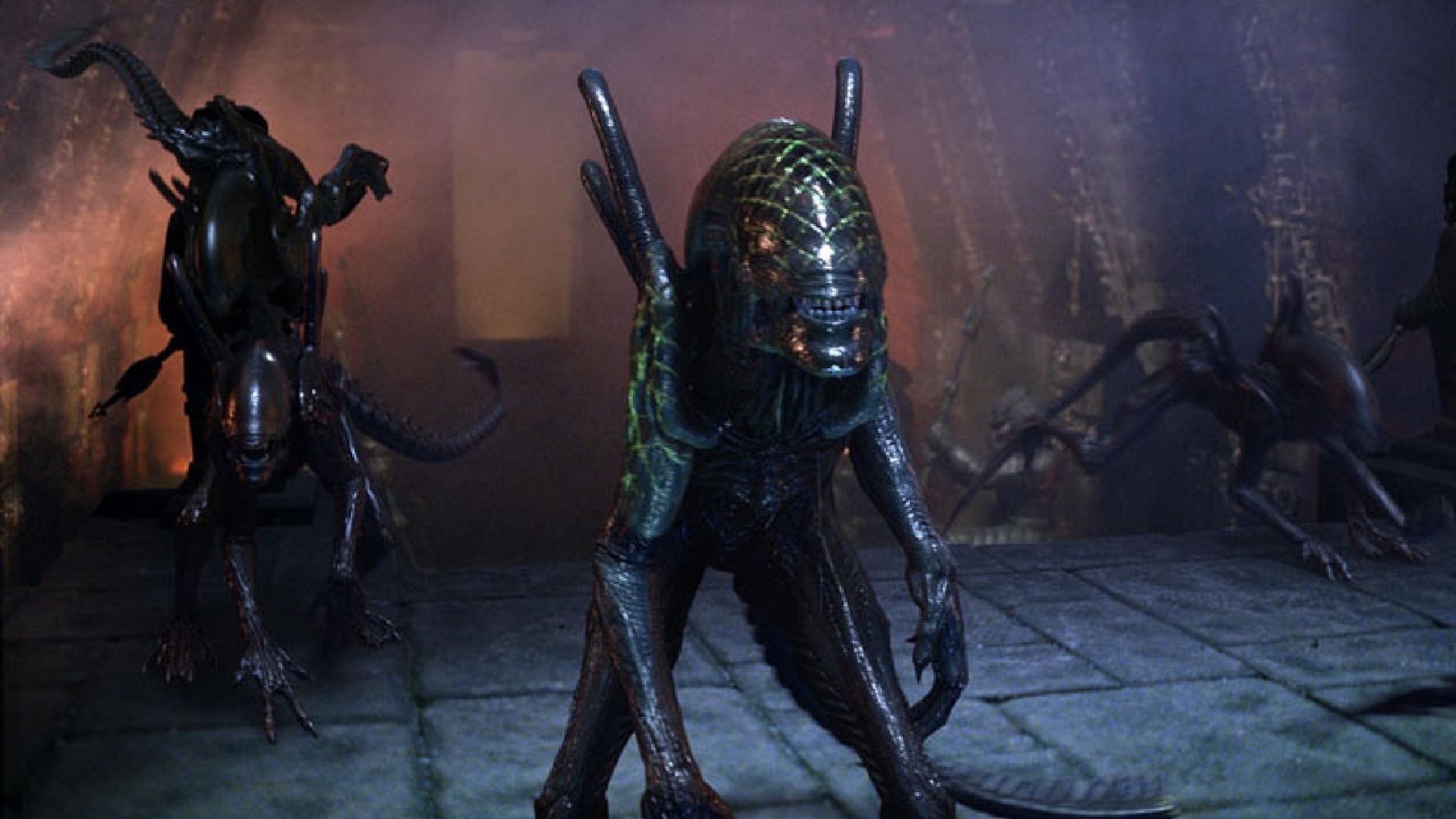 Alien vs Predator Saved Both Franchises Whether You Like It or Not