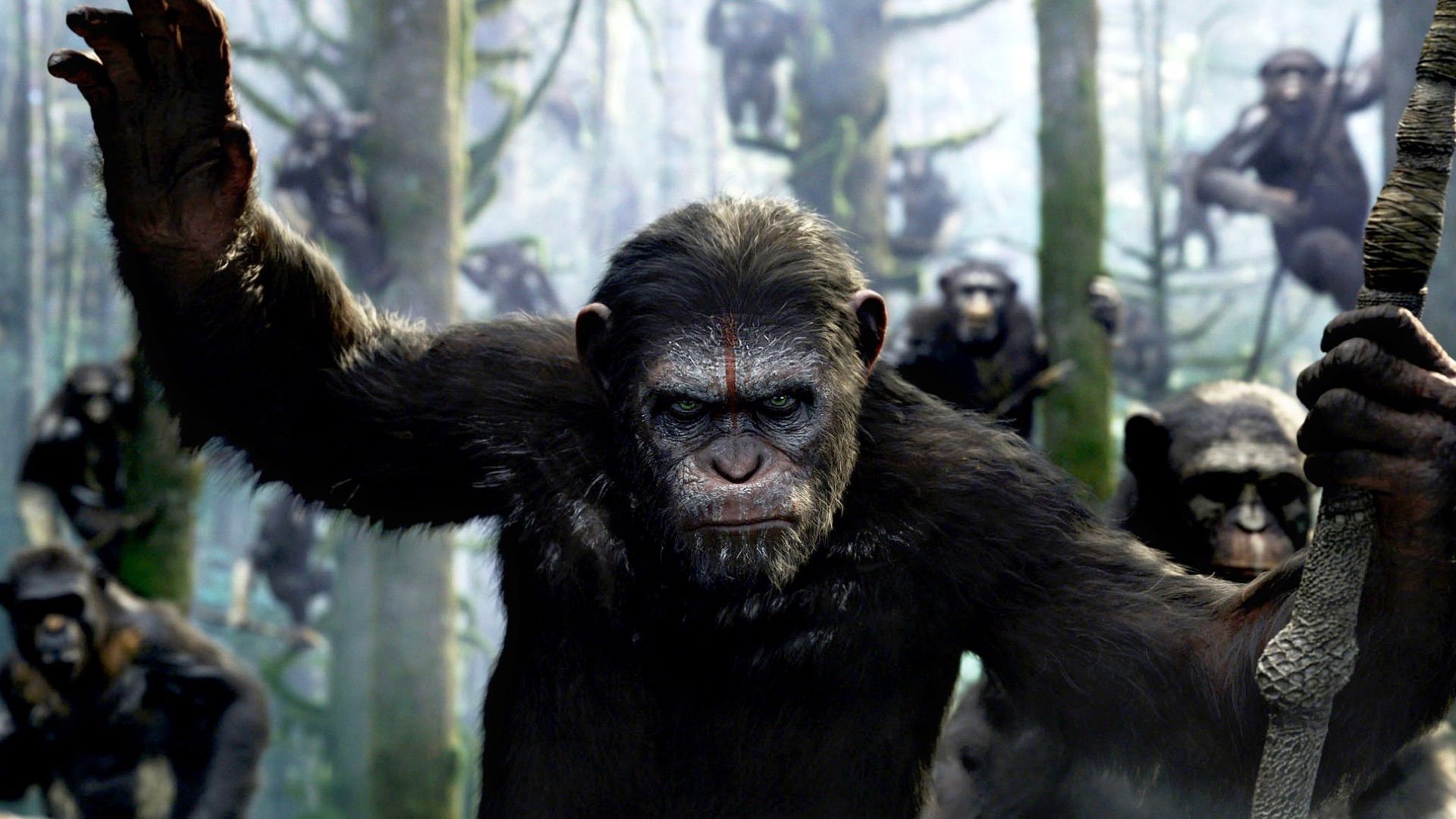 Kingdom of the Planet of the Apes Sequel Release Window Revealed by Studio Boss