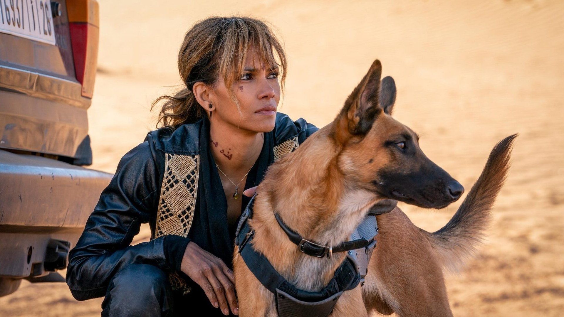 Halle Berry's John Wick Spin-off Gets Hopeful Update From the Oscar-Winning Star