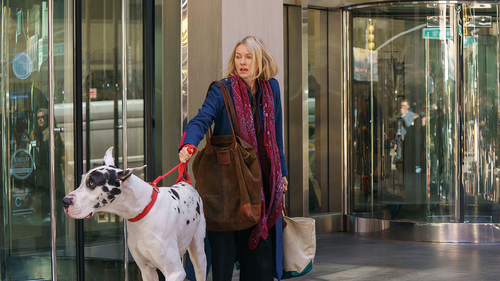 Naomi Watts holds a big dalmatian in The Friend movie at TIFF 2024