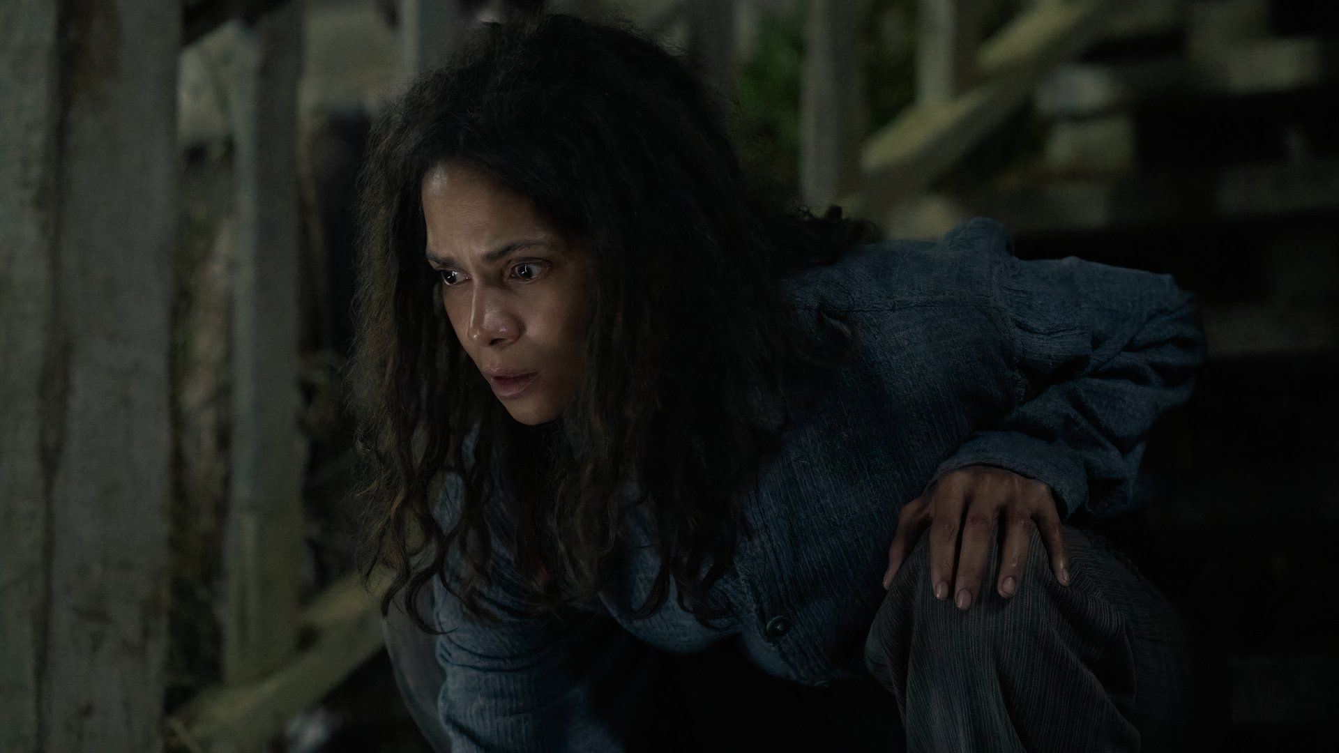 Never Let Gos Halle Berry Discusses Gut-Wrenching Dog Scene