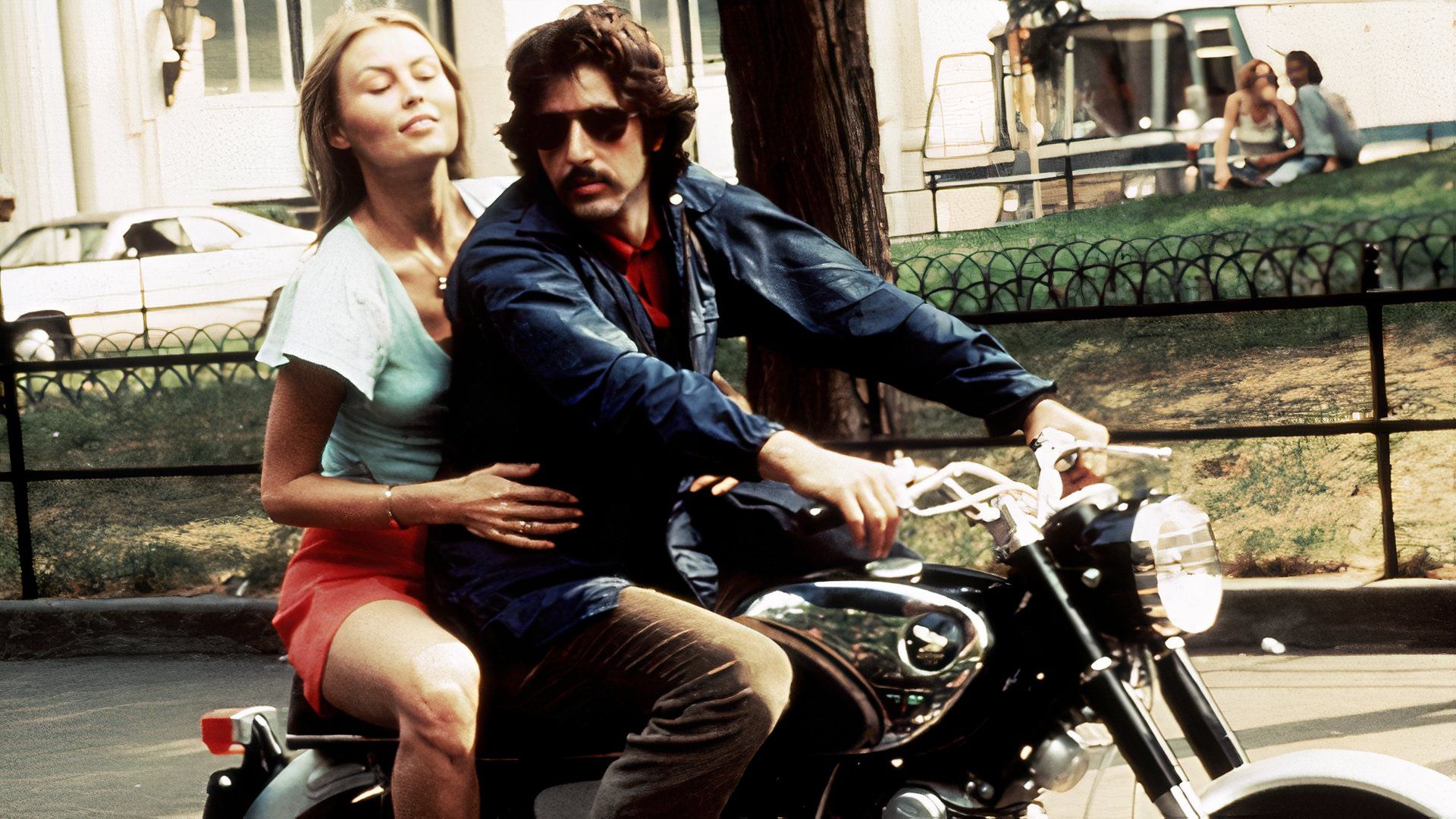 Rebel Ridge Fans Should Check Out Al Pacino's Beloved Film, Serpico