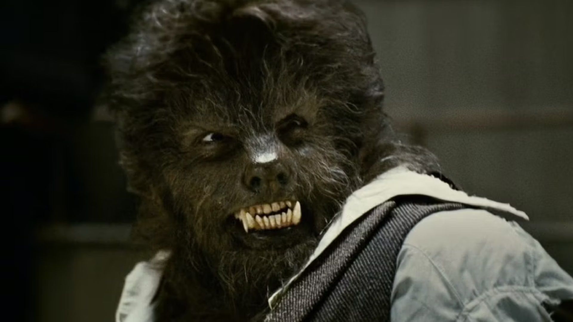 First Look at Universal's Wolf Man Reboot Teases Divisive New Look