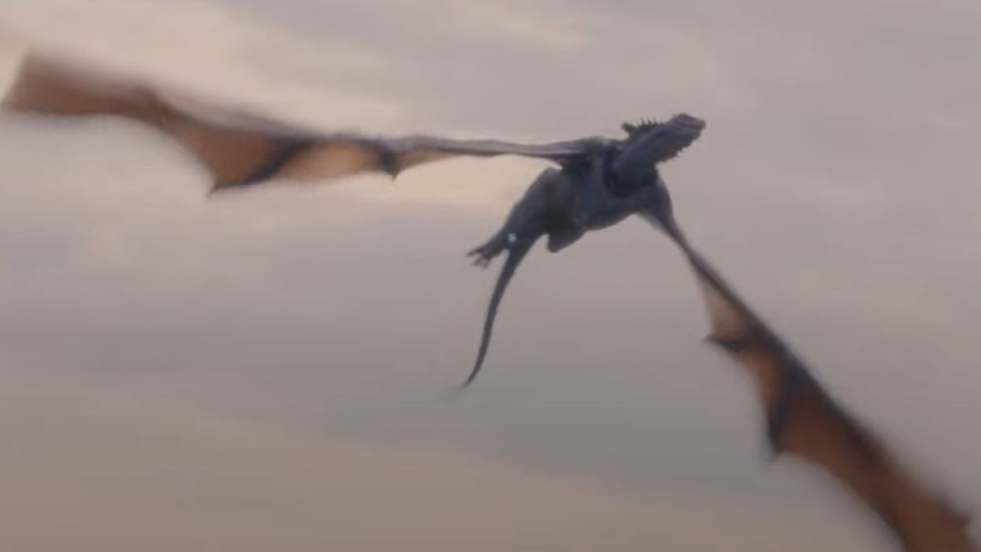 10 Dragons From the Books We Haven't Seen in House of the Dragon Yet