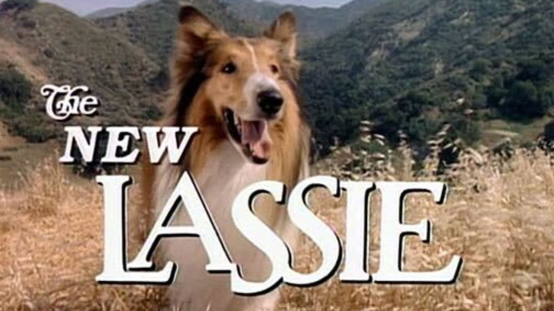 Leonardo DiCaprio Started His TV Career with a Small Role in The New Lassie