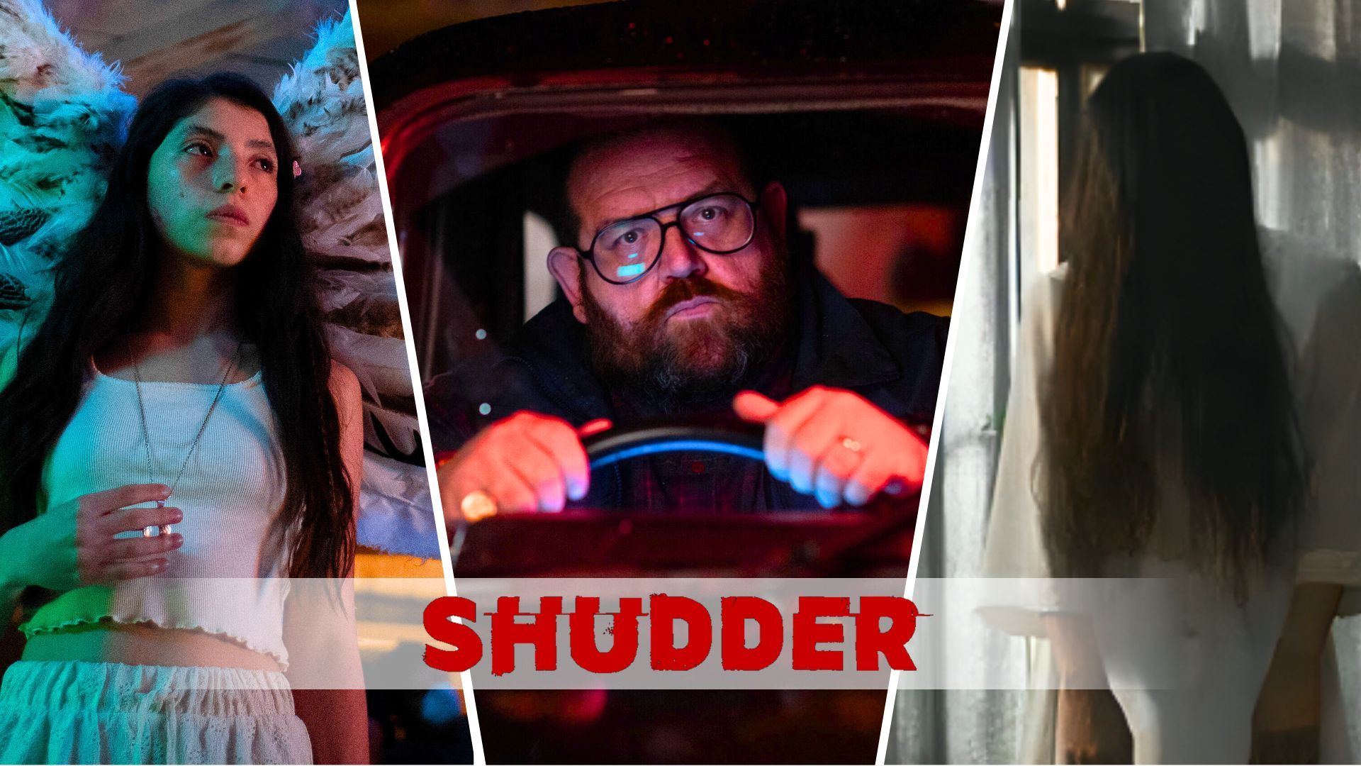 Every Movie Coming to Shudder in November 2024