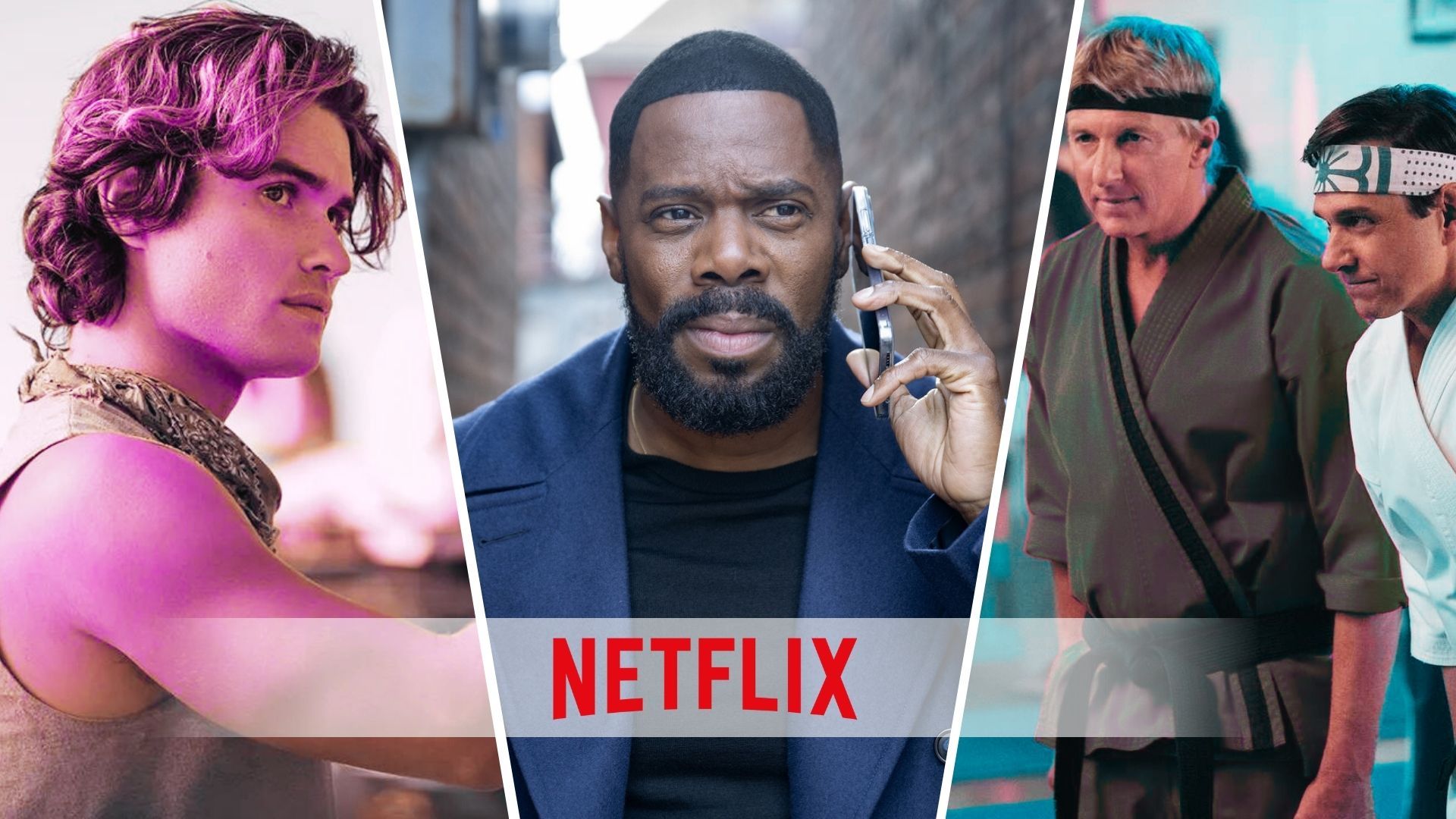 Every TV Show Coming to Netflix in November 2024