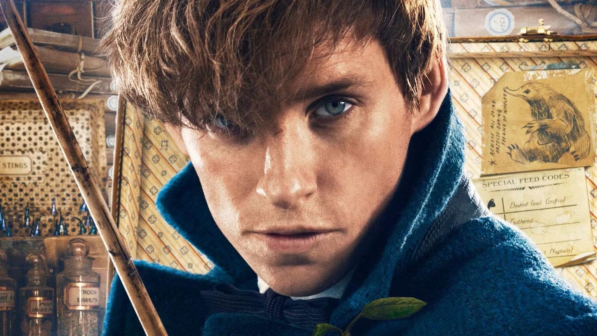 Fantastic Beasts Star Eddie Redmayne Offers Update on the Harry Potter Franchise