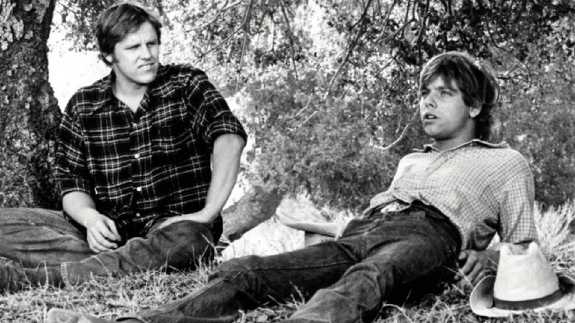 Mark Hamill Starred in The Texas Wheelers, and Everyone Forgot About It