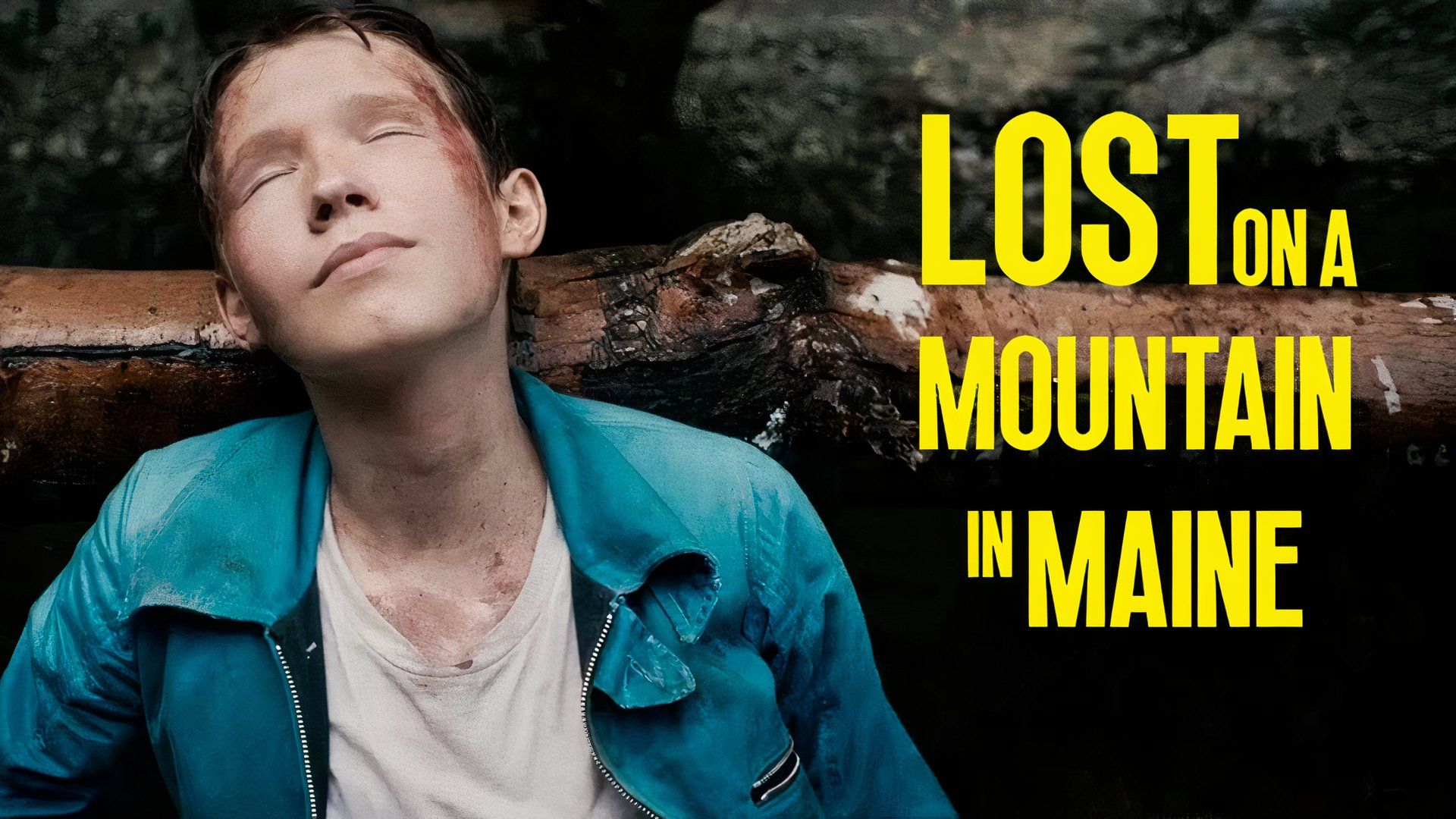 Lost on a Mountain in Maine Review: Predictable True Survival Drama