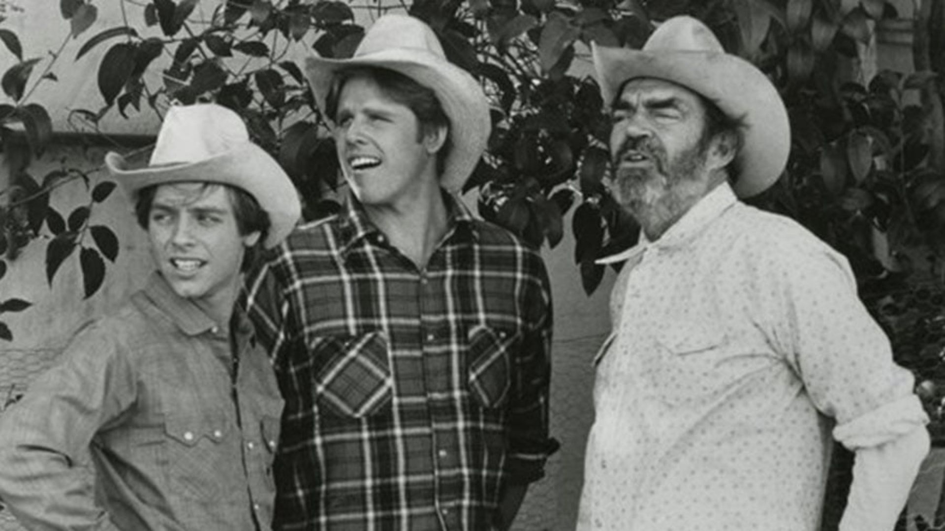 Mark Hamill Starred in The Texas Wheelers, and Everyone Forgot About It