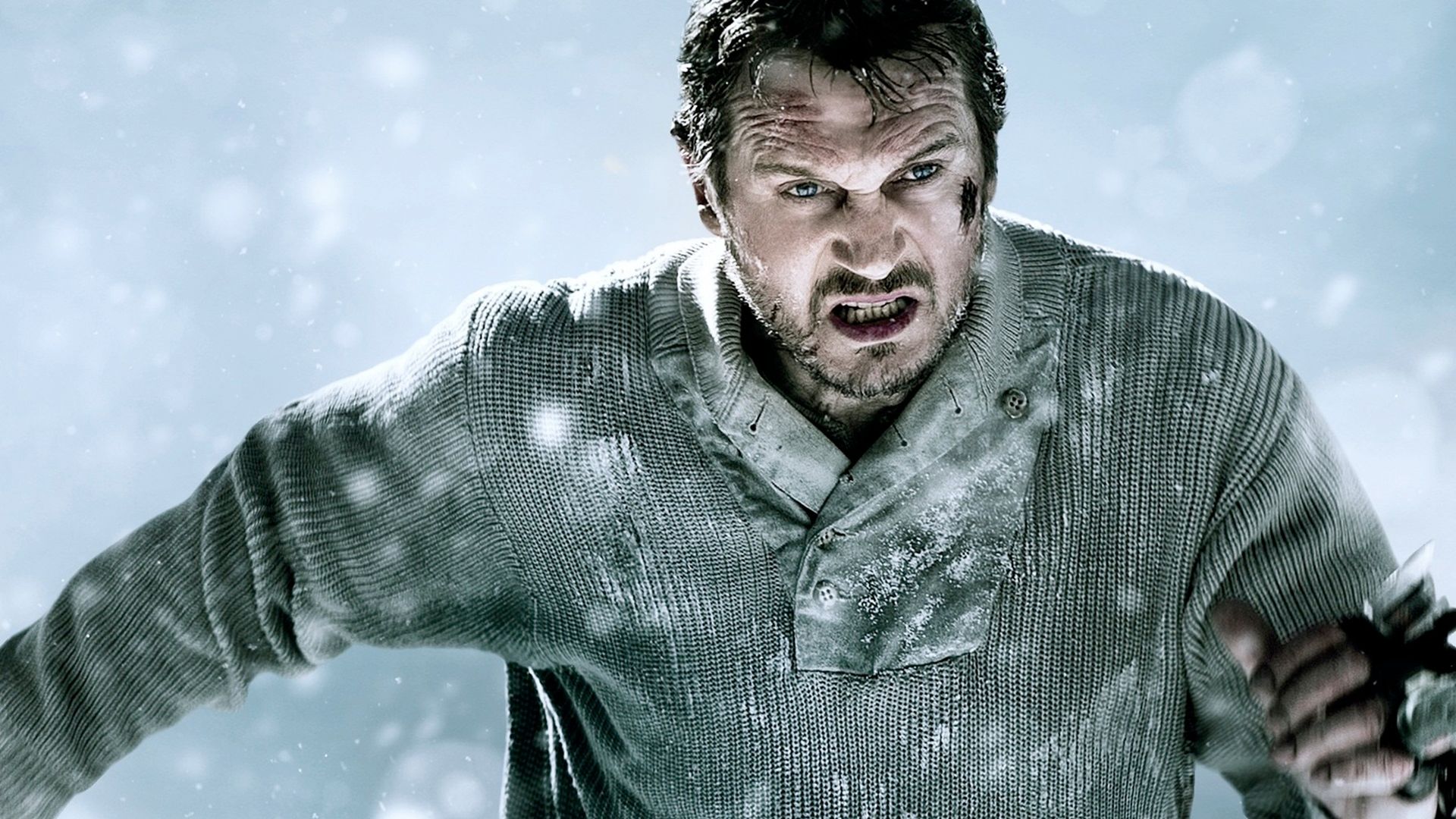 Liam Neesons Acclaimed Action Thriller The Grey Is Free to Stream