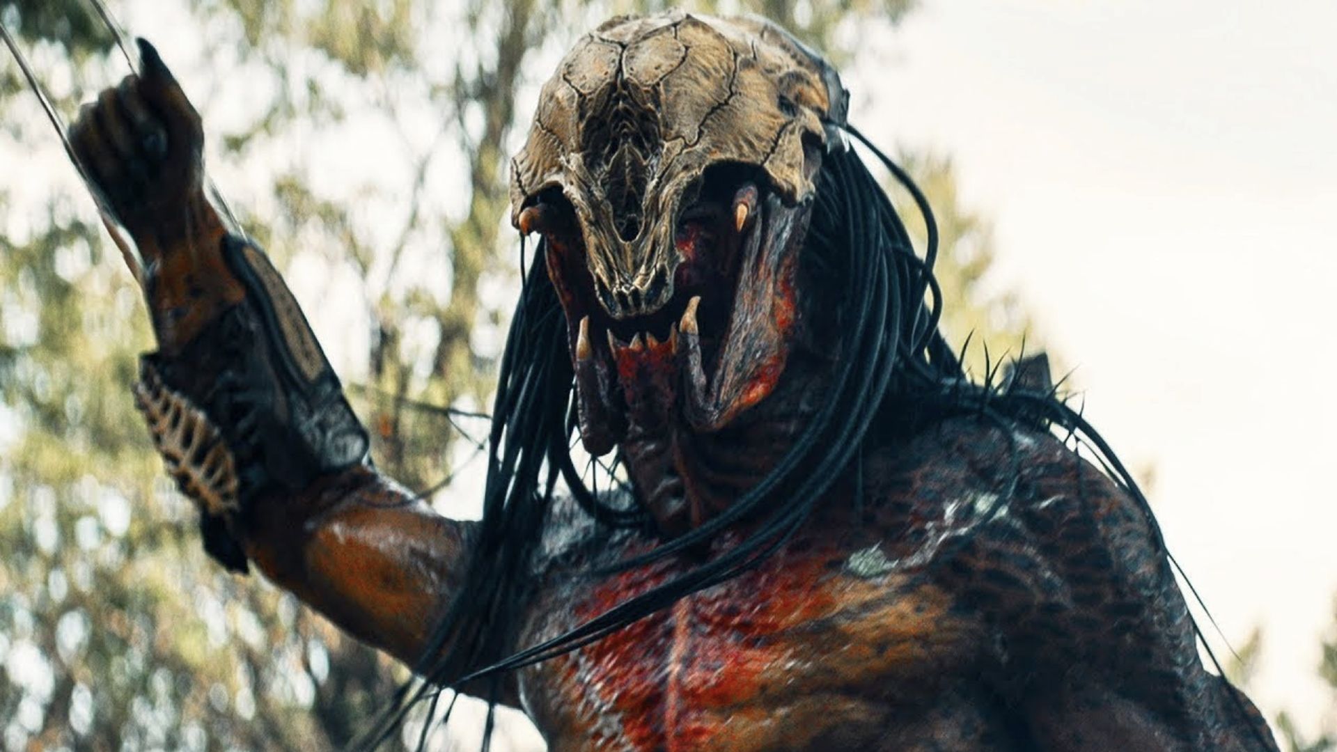 New Predator Film is Reportedly an Animated Anthology