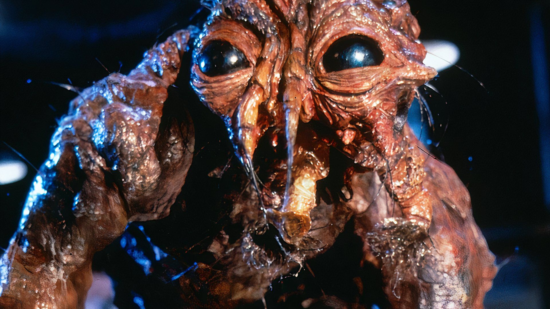 The Fly: Sequel to David Cronenberg's Body Horror Classic in the Works From Nanny Director