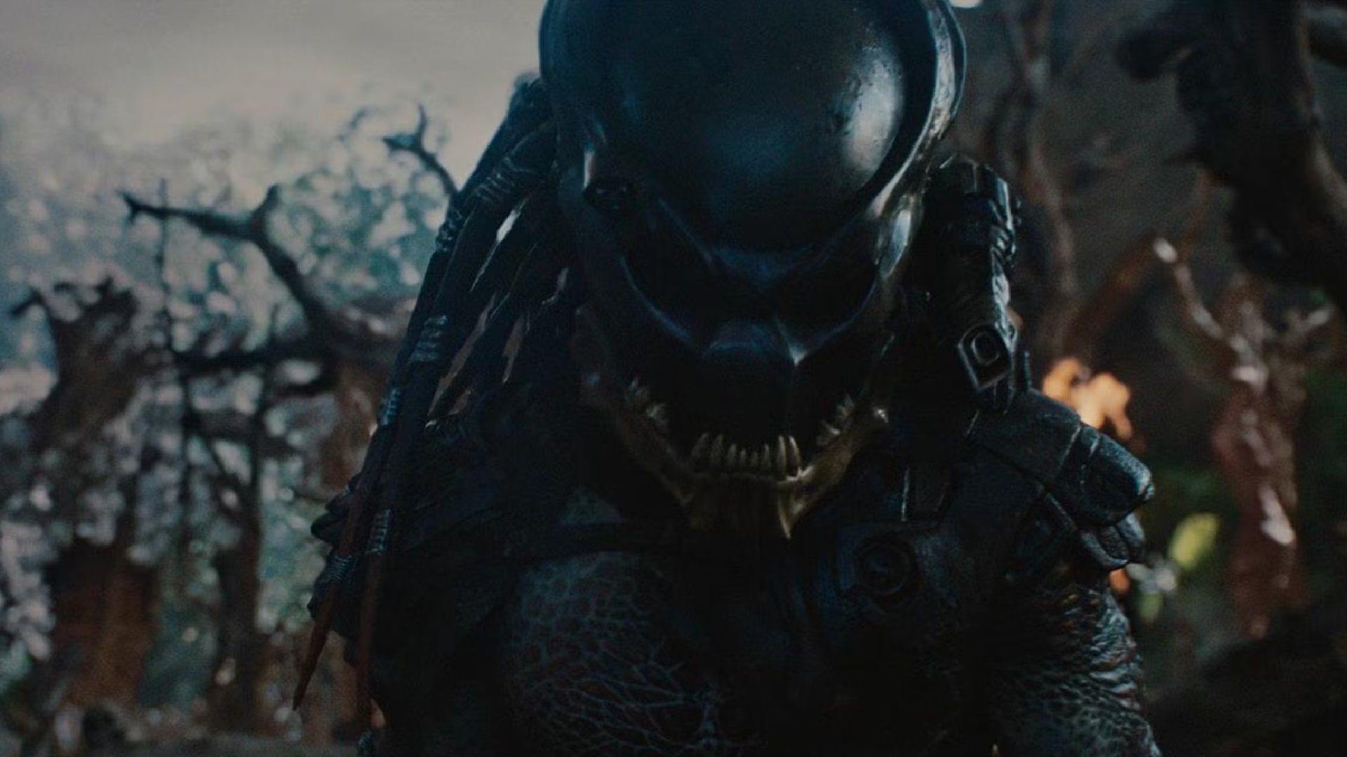 New Predator Film is Reportedly an Animated Anthology