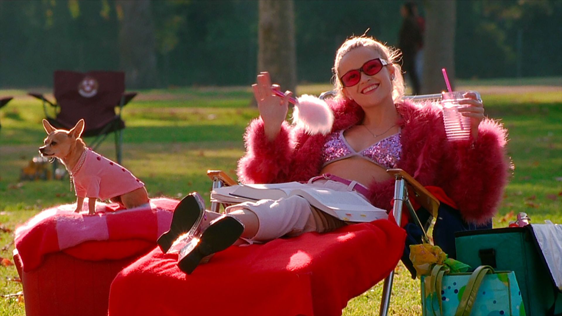 Roger Ebert Liked 'Legally Blonde', and It's Streaming for Free