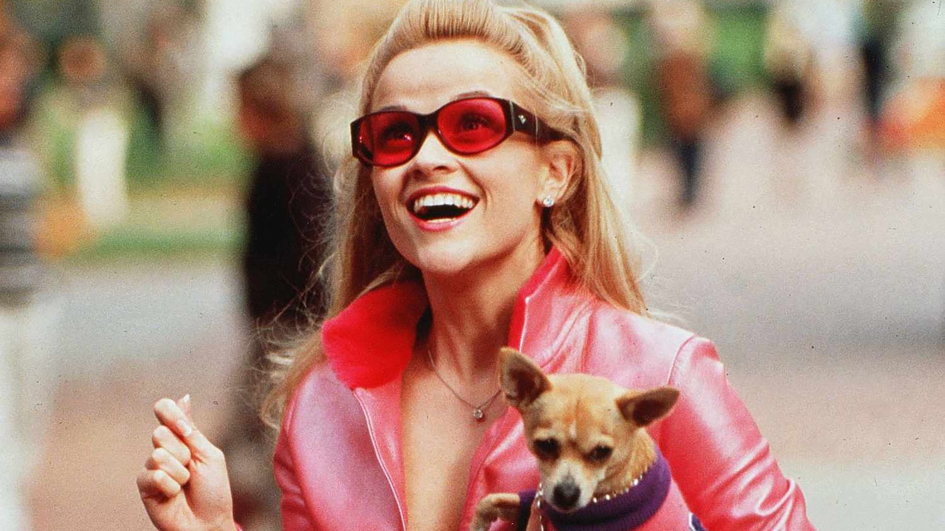 Roger Ebert Liked 'Legally Blonde', and It's Streaming for Free