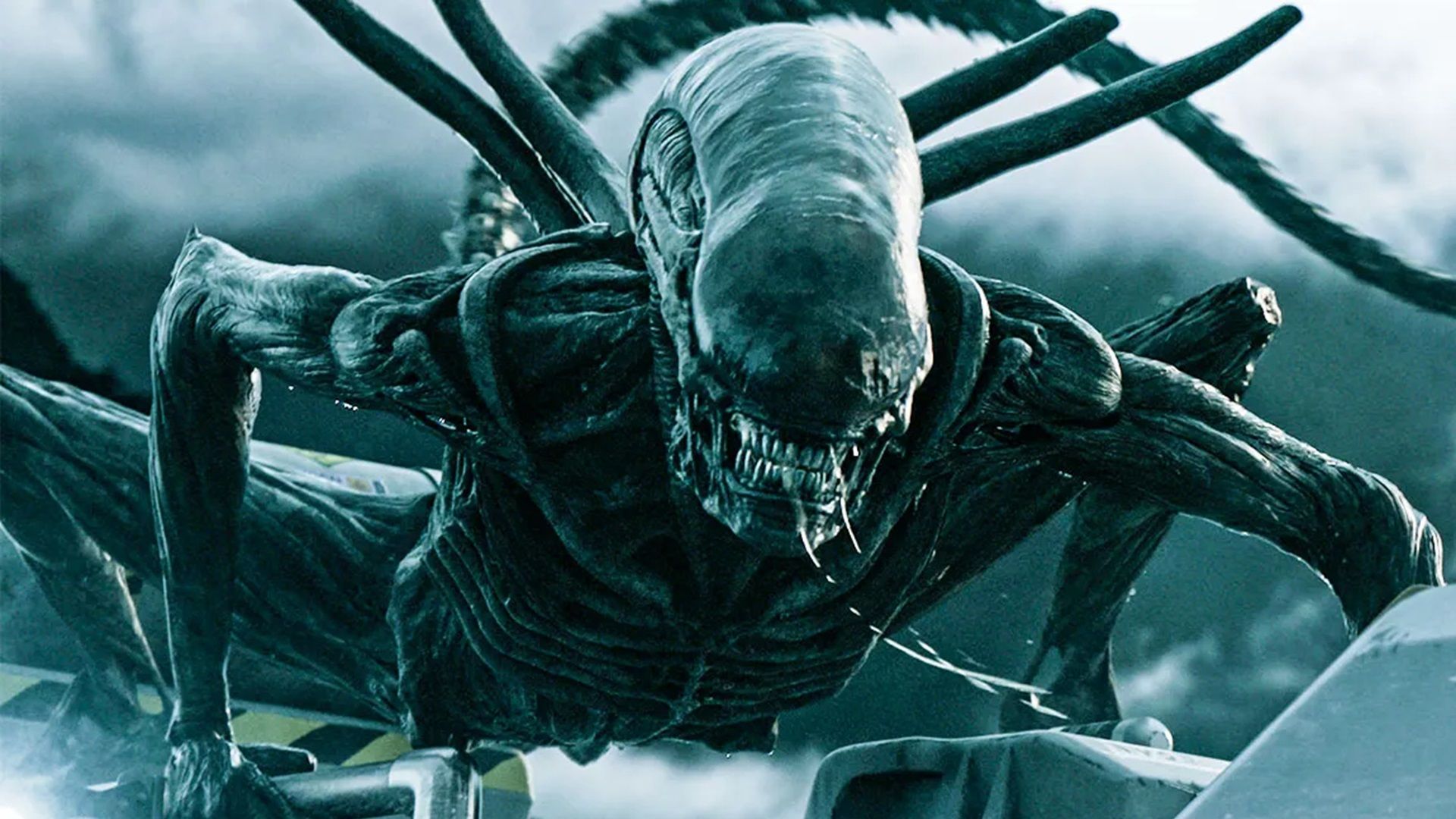 Alien: Covenant Sequel in the Works From Ridley Scott