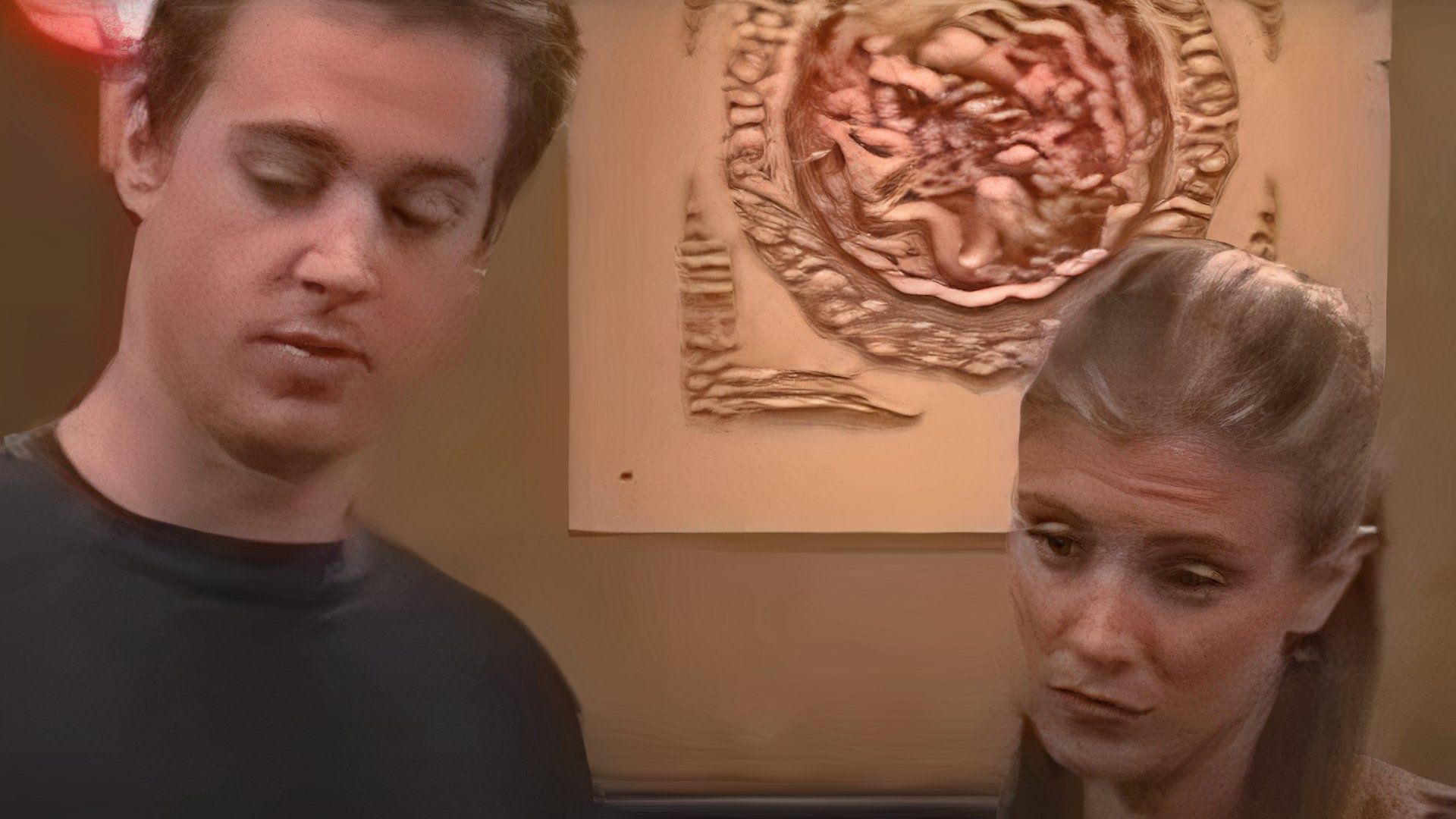 Before 'NCIS' Sean Murray Stood Out in One Sitcom