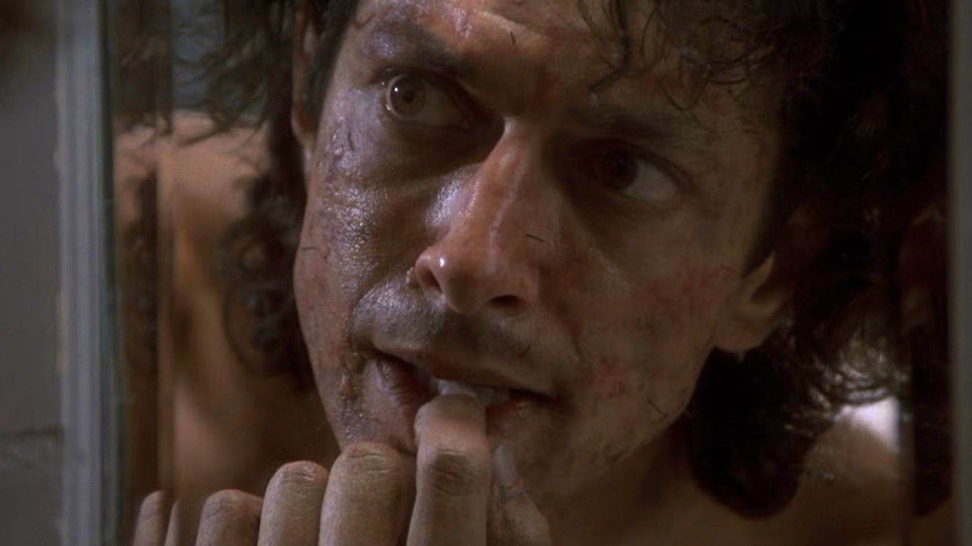 The Fly: Sequel to David Cronenberg's Body Horror Classic in the Works From Nanny Director