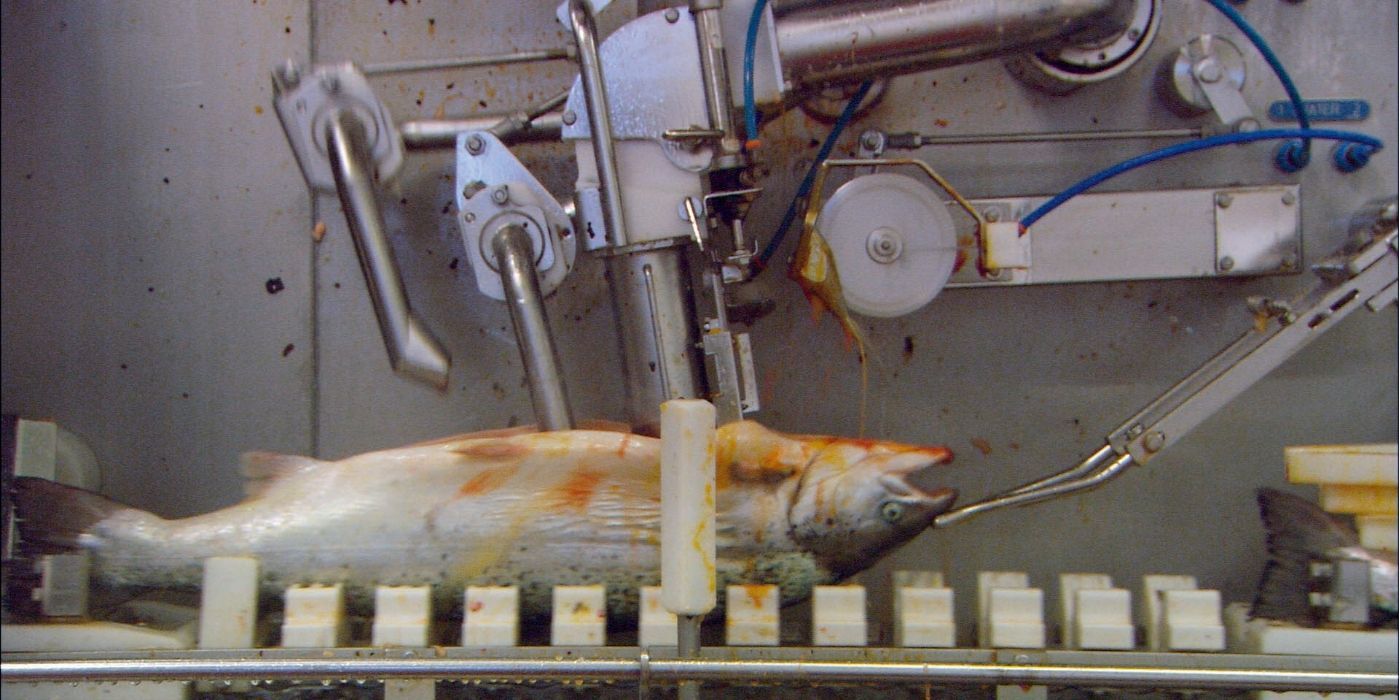 10 Best Documentaries About the Food Industry