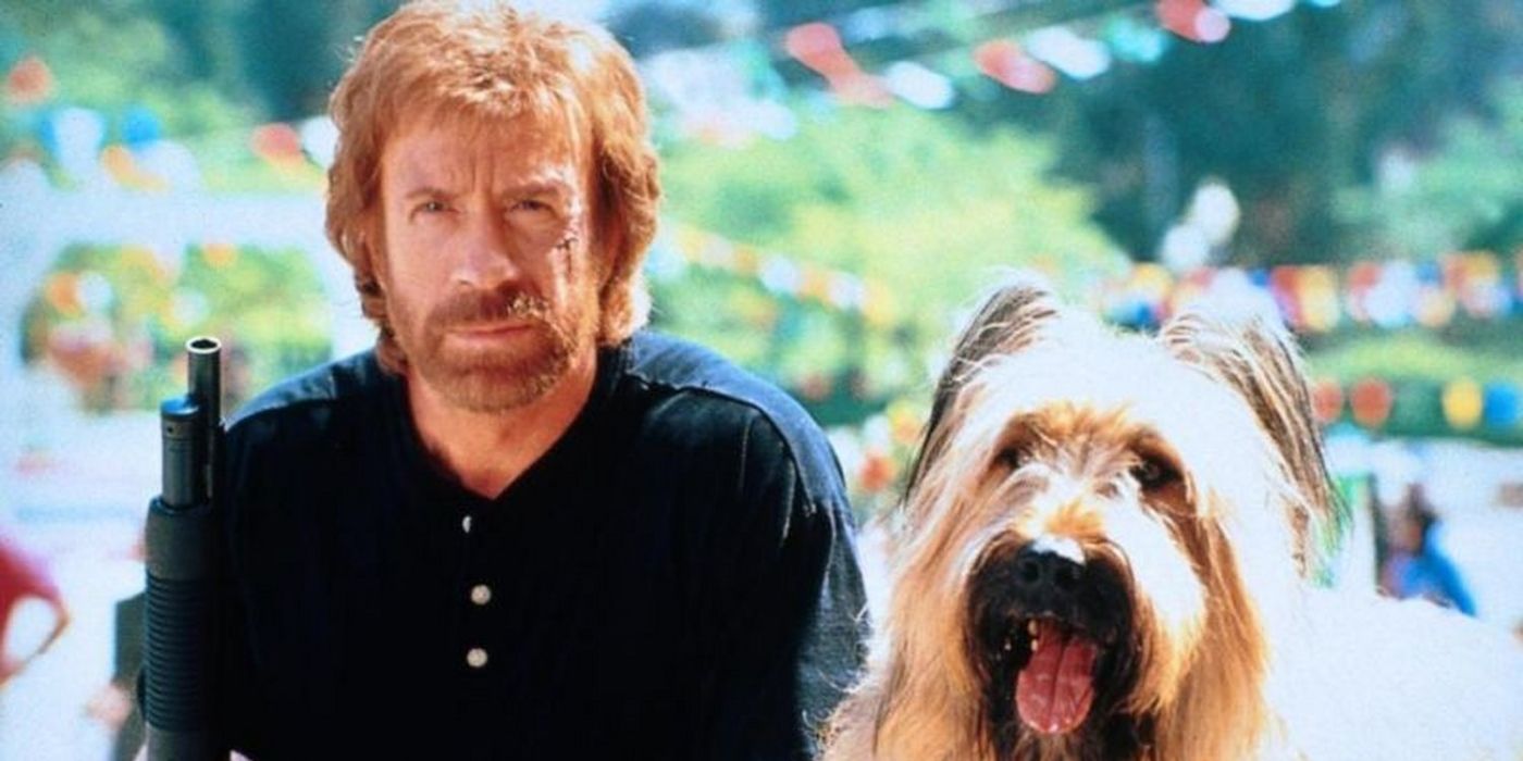 Chuck Norris' '90s Movie, Ranked