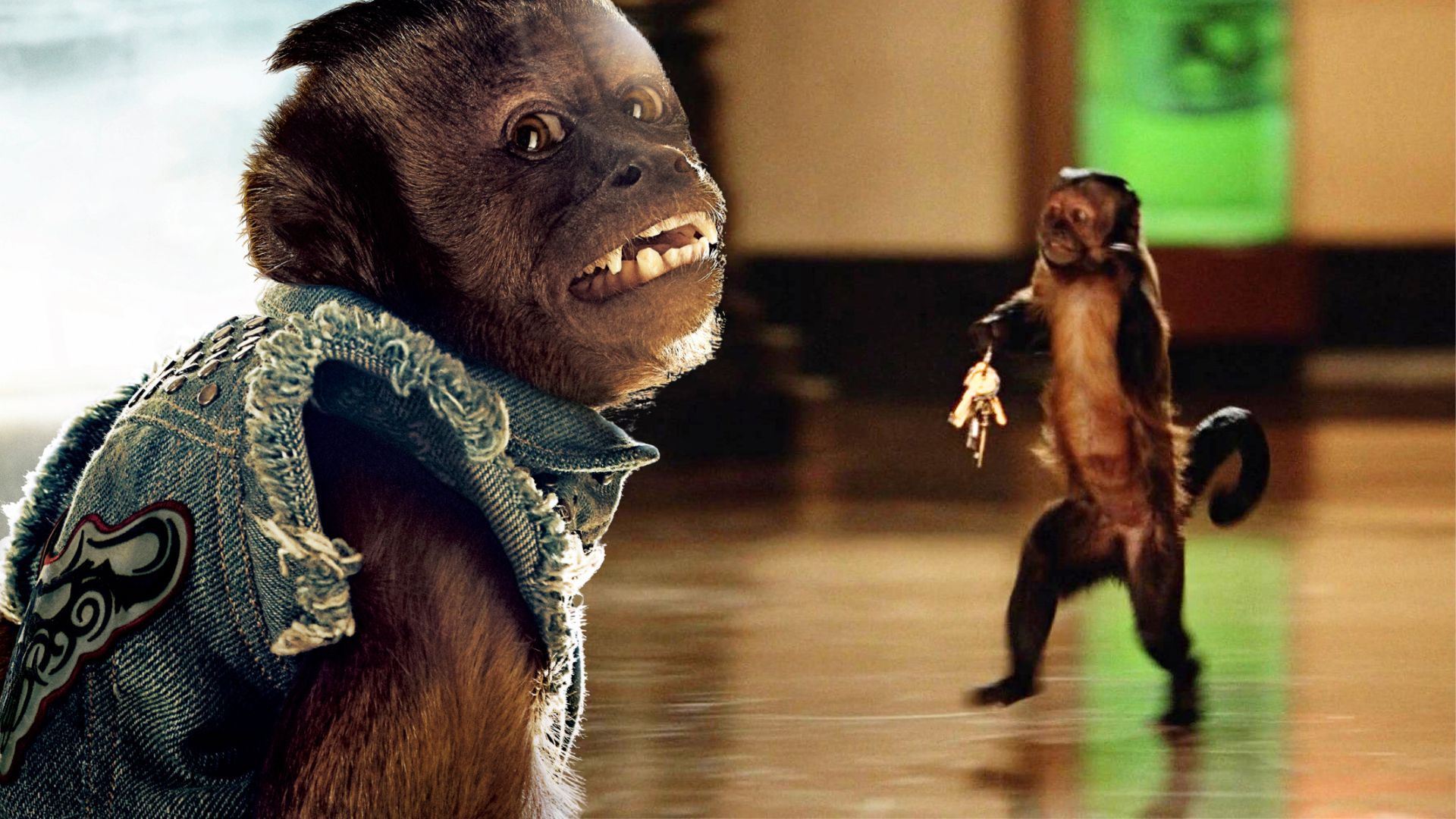 Believe It or Not, This Monkey Has Grossed $2.5 Billion at the Box Office