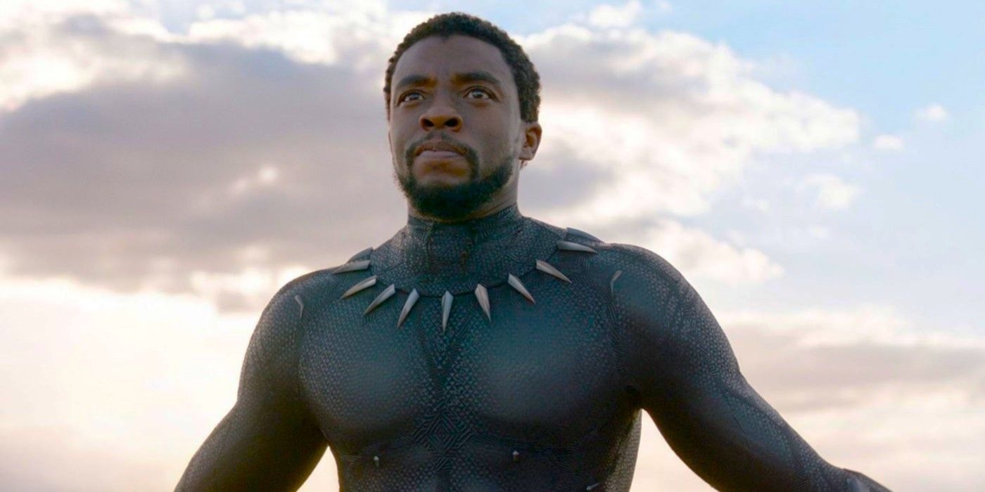 Chadwick Boseman in Black Panther.