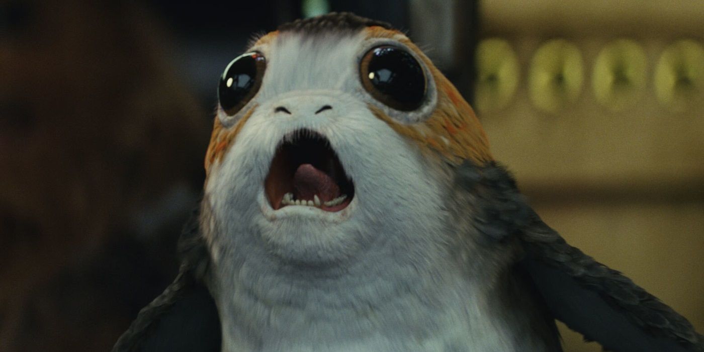 Porgs in Star Wars: The Last Jedi