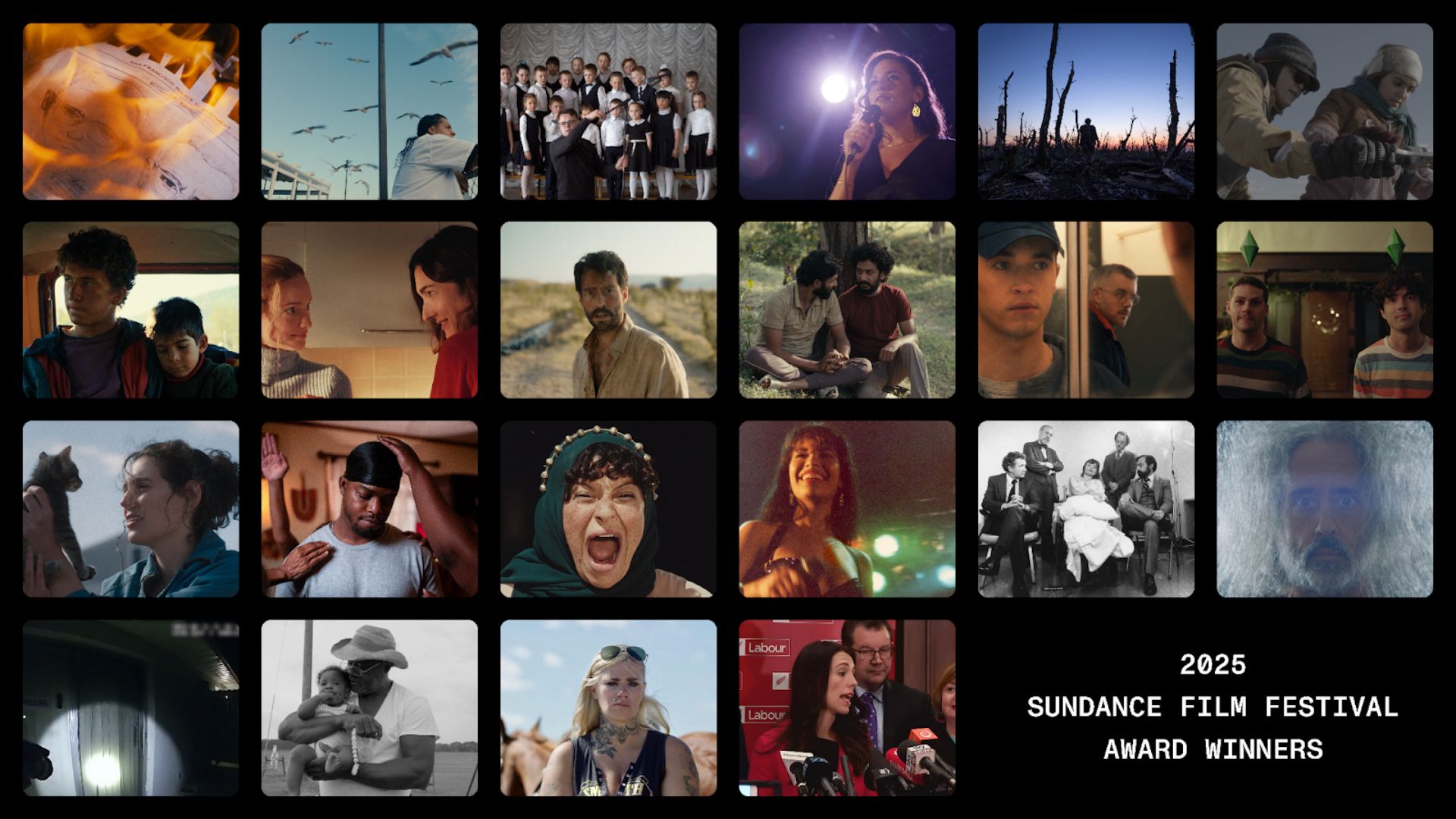 Winners of the 2025 Sundance Film Festival in a grid