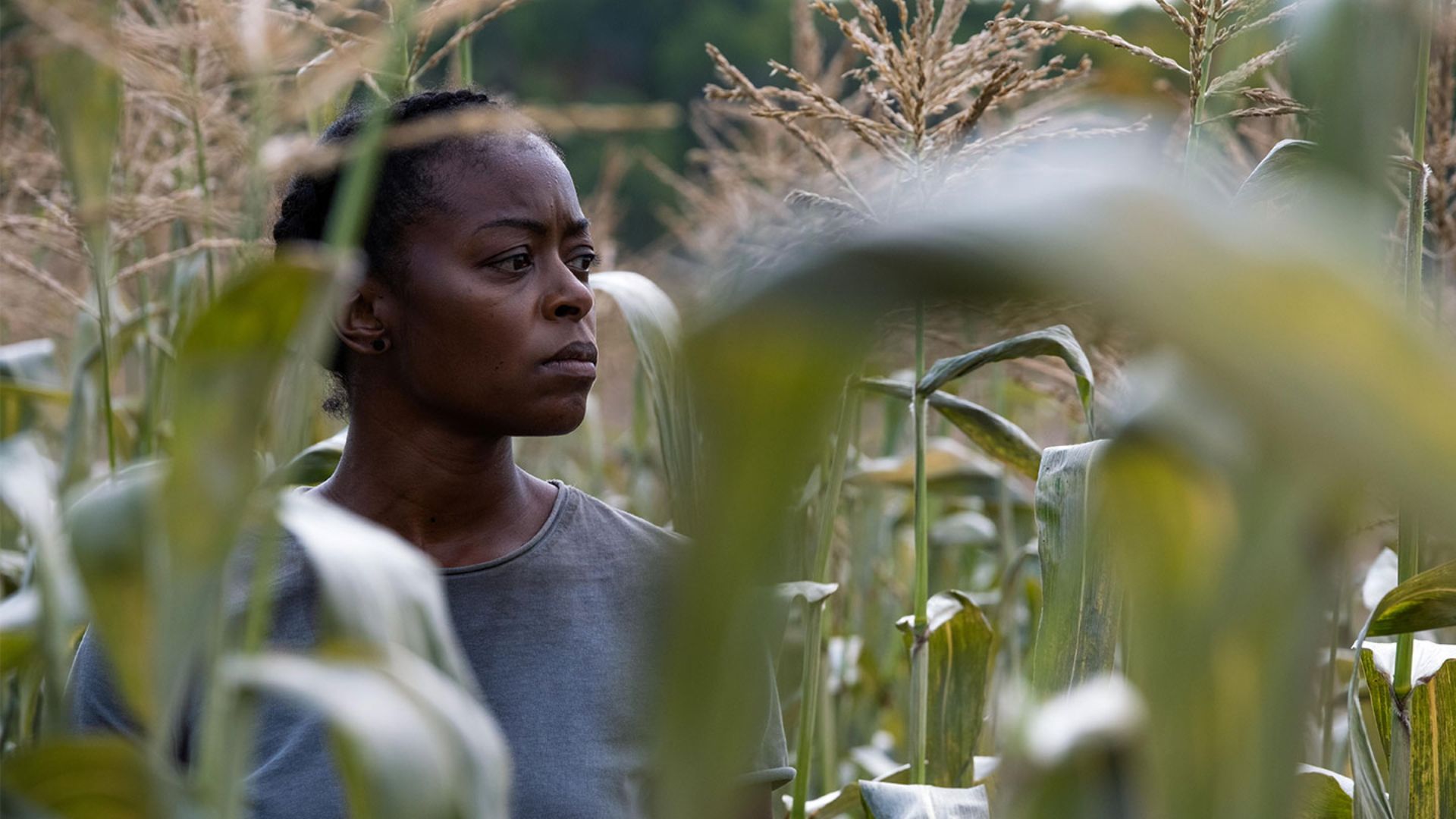 A woman in the wheat fields in the movie 40 Acres