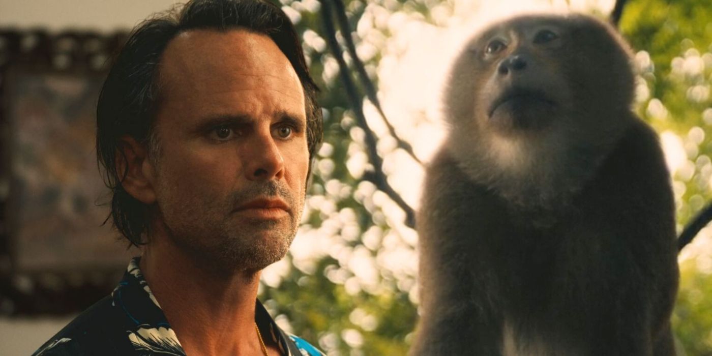 'The White Lotus' Season 3 and the Potential Meaning Behind the Monkeys