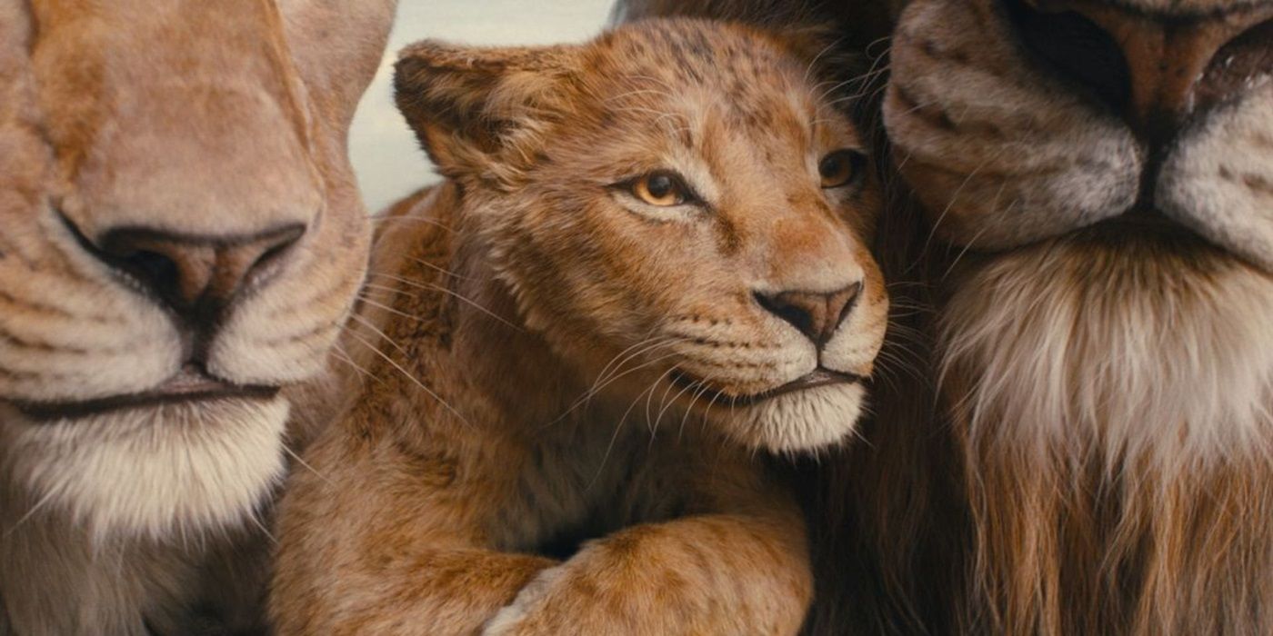 Still from Mufasa: The Lion King