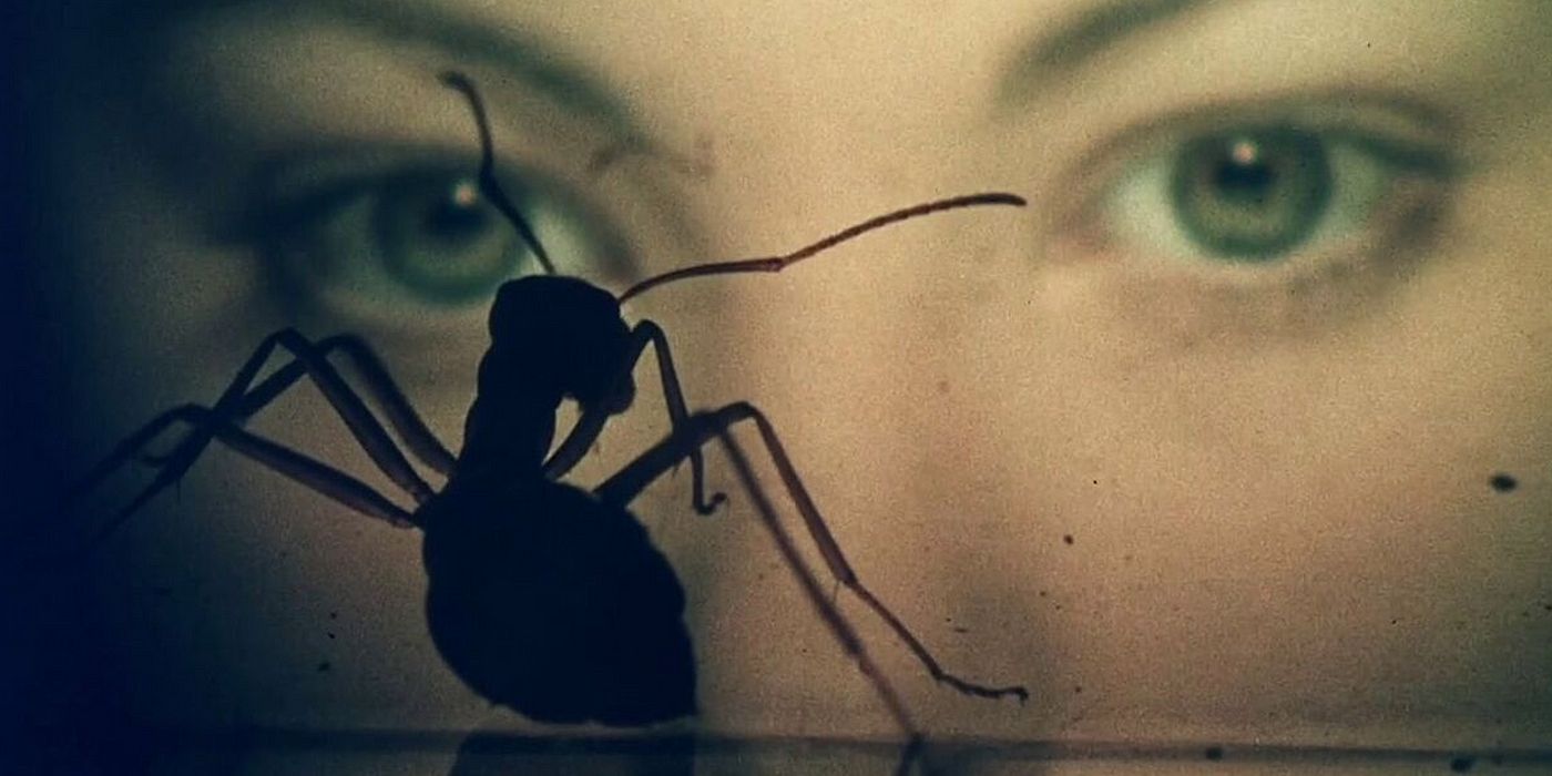 A woman's eyes look at an ant in the movie Phase IV from Saul Bass