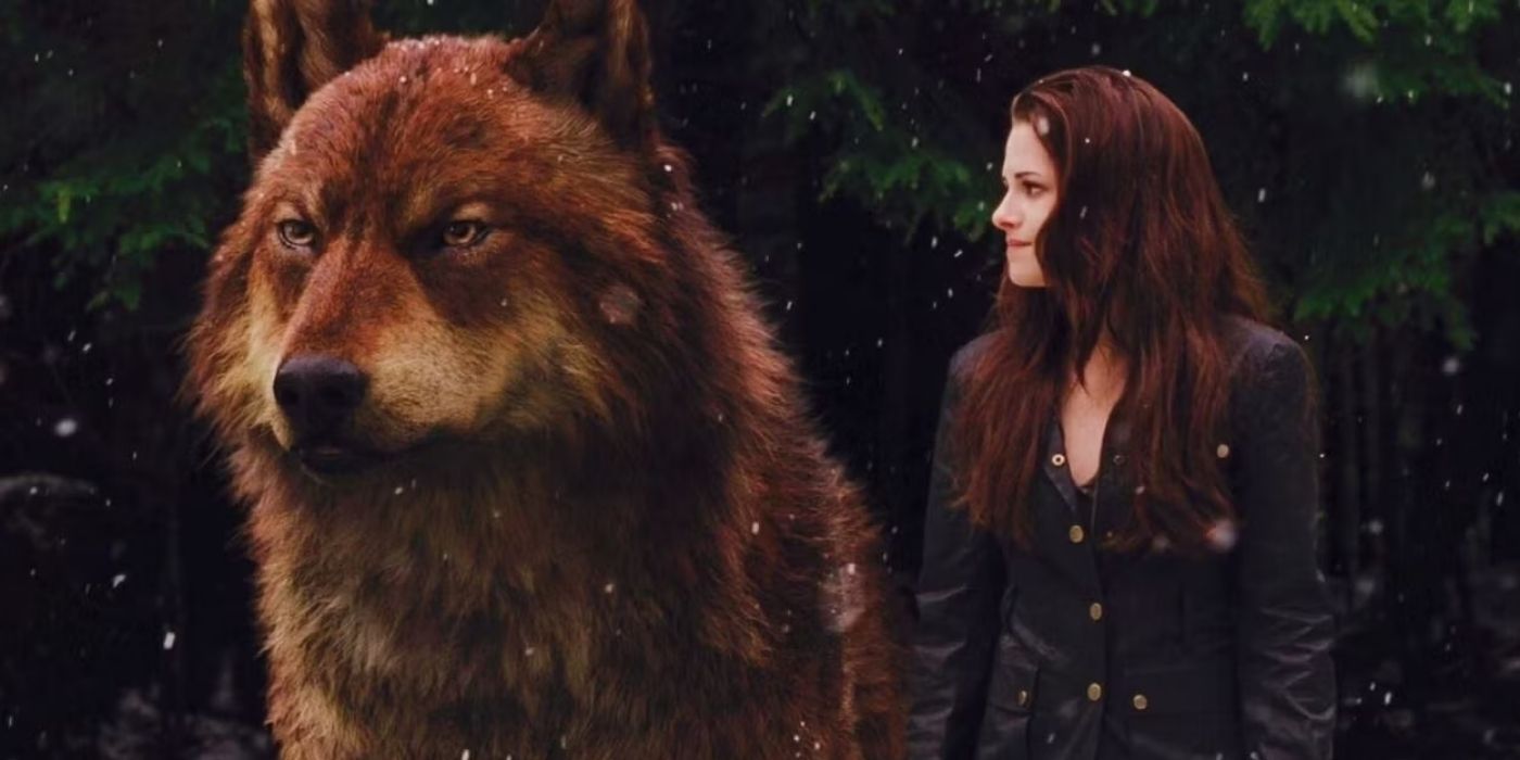 Jacob and Bella in the Twilight movies