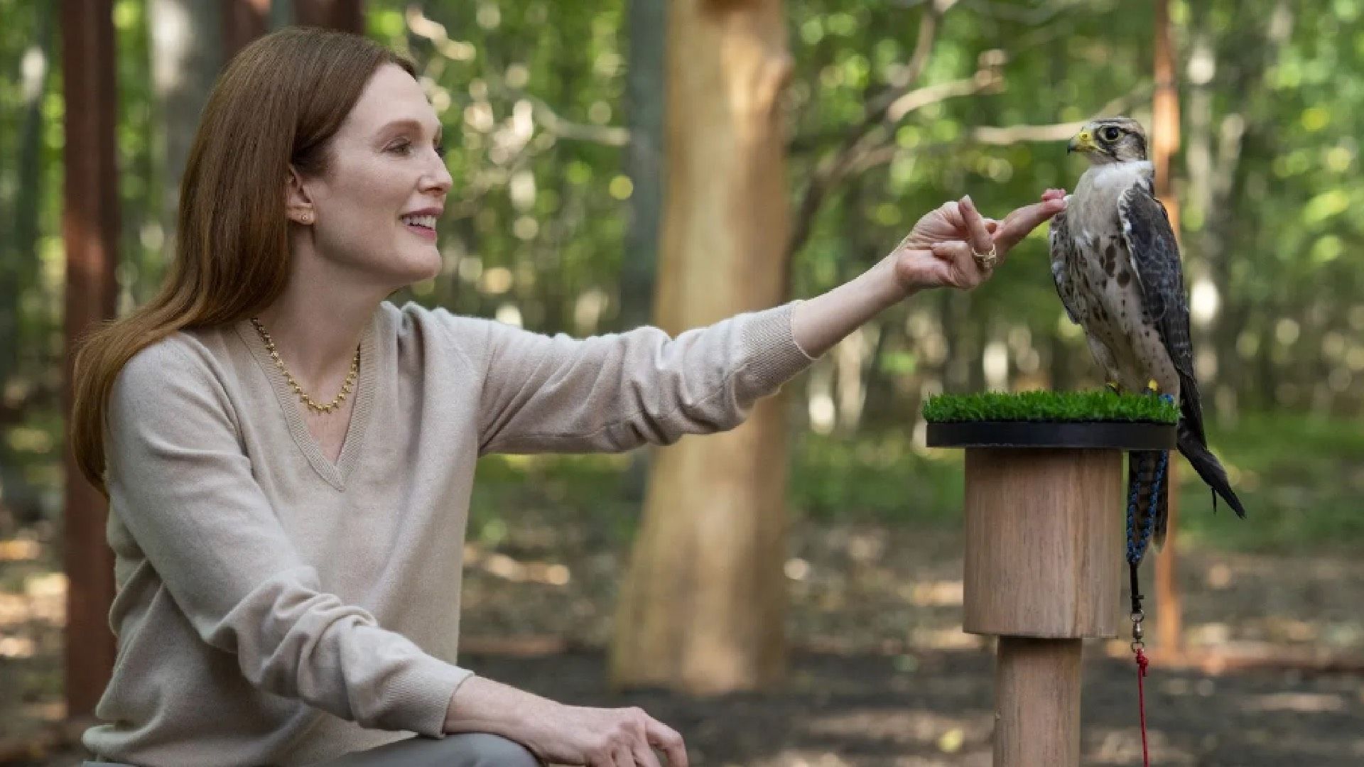 Julianne Moore and Barnaby the bird in Sirens