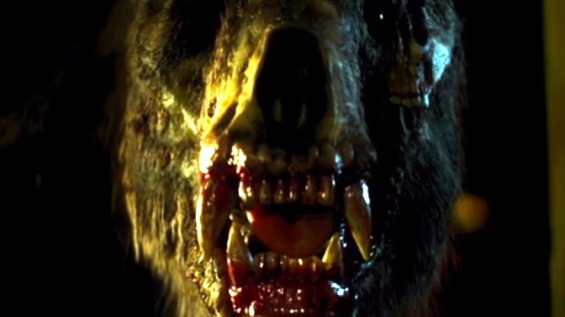 The Mutant Bear in Annihilation