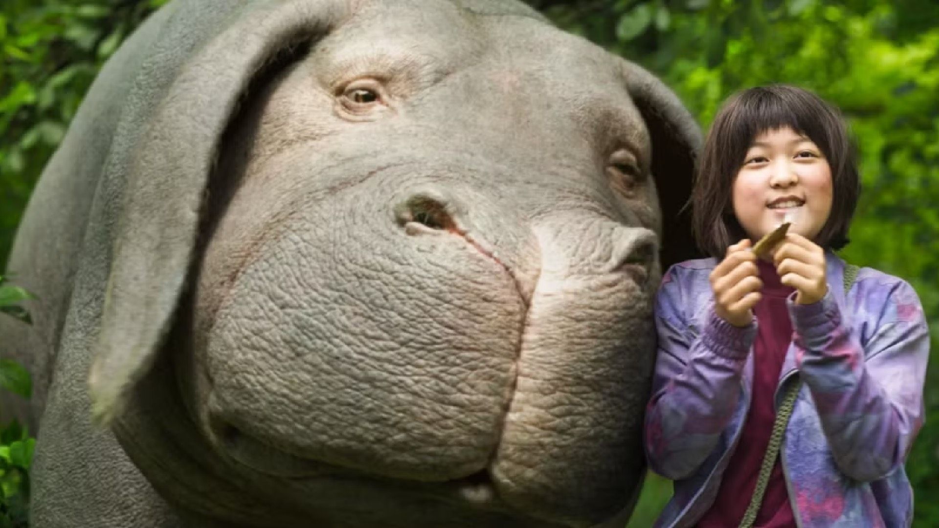 Okja and Ahn Seo-hyun in Okja