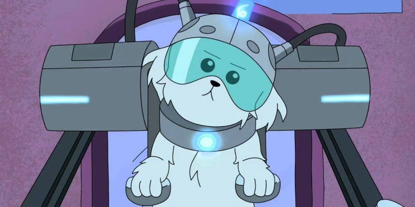 15 Greatest 'Rick and Morty' Characters of All Time, Ranked