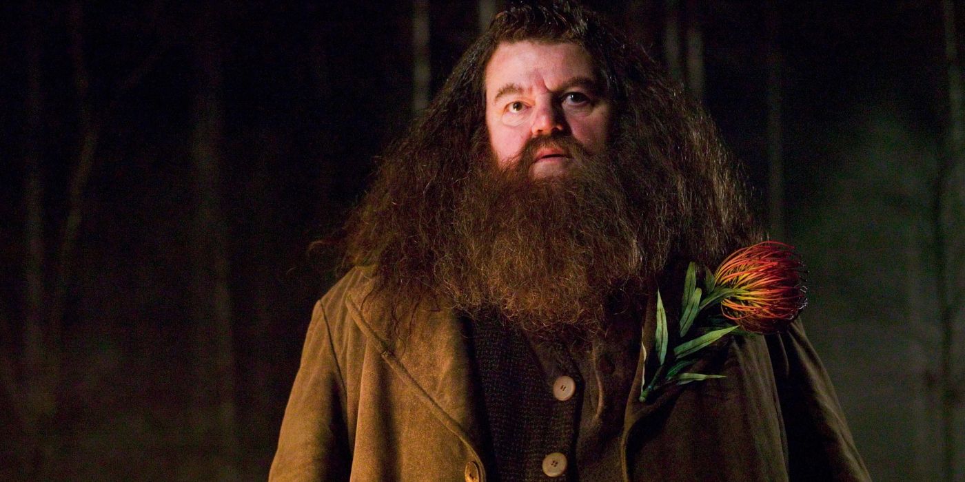 „Harry Potter“-Star Nick Frost erklärt seine Meinung zu JK Rowlings ...