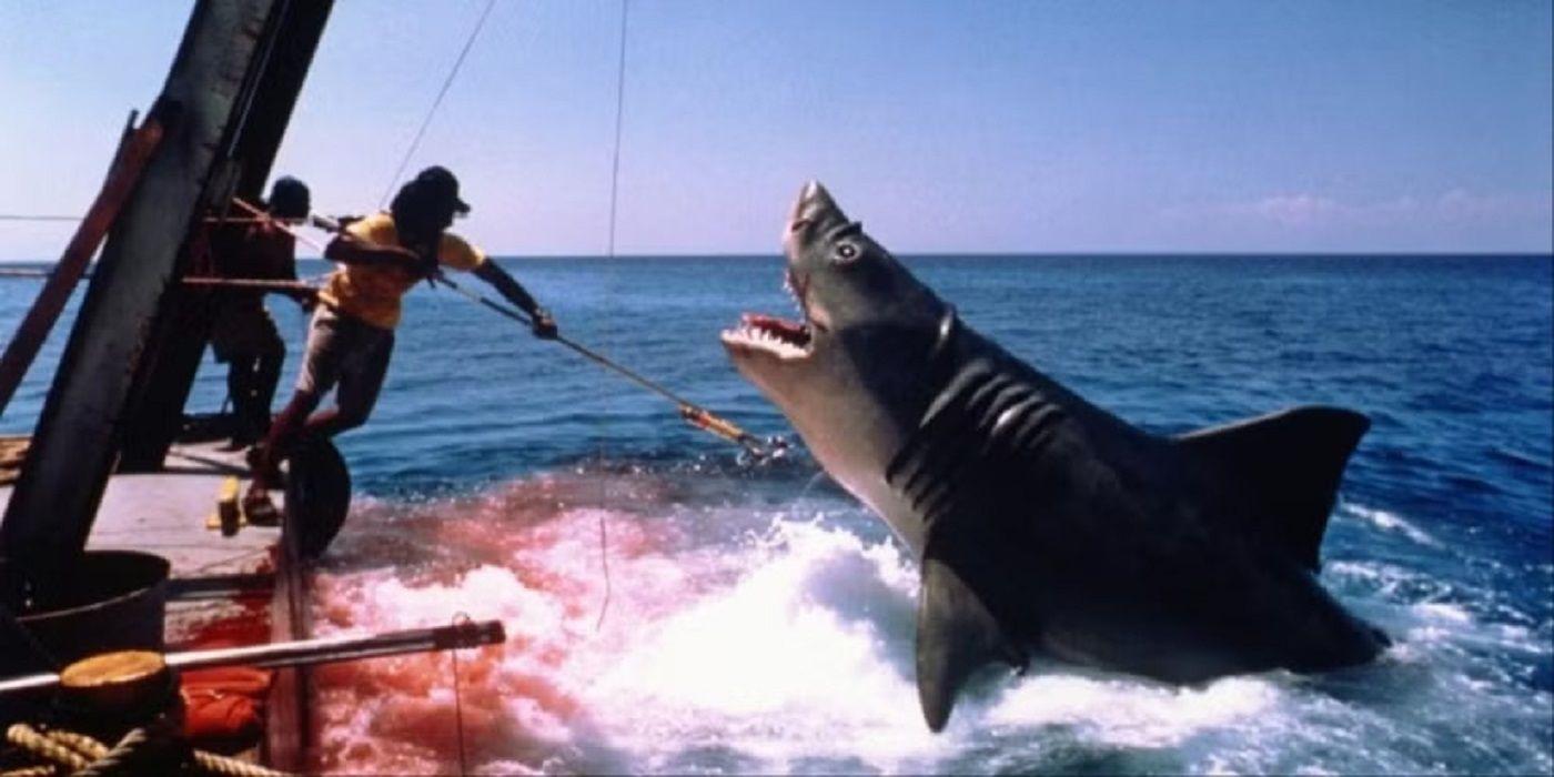 The shark attacks in Jaws: The Revenge