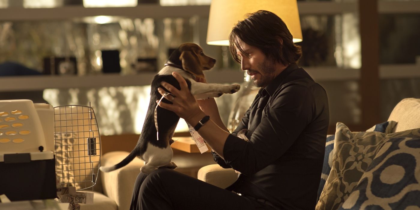 John Wick and his dog