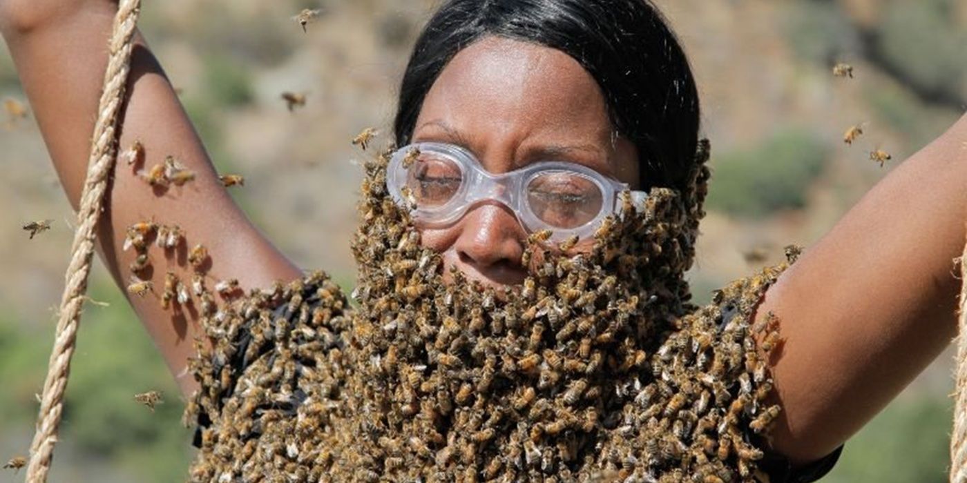 Fox's 'Fear Factor' Reboot Hires 'Jackass' Johnny Knoxville as New Host