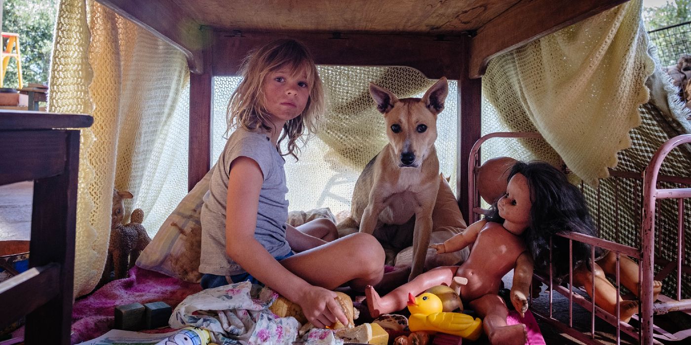 'Don't Let's Go to the Dogs Tonight' Review: War and Racism Through the Eyes of a Child